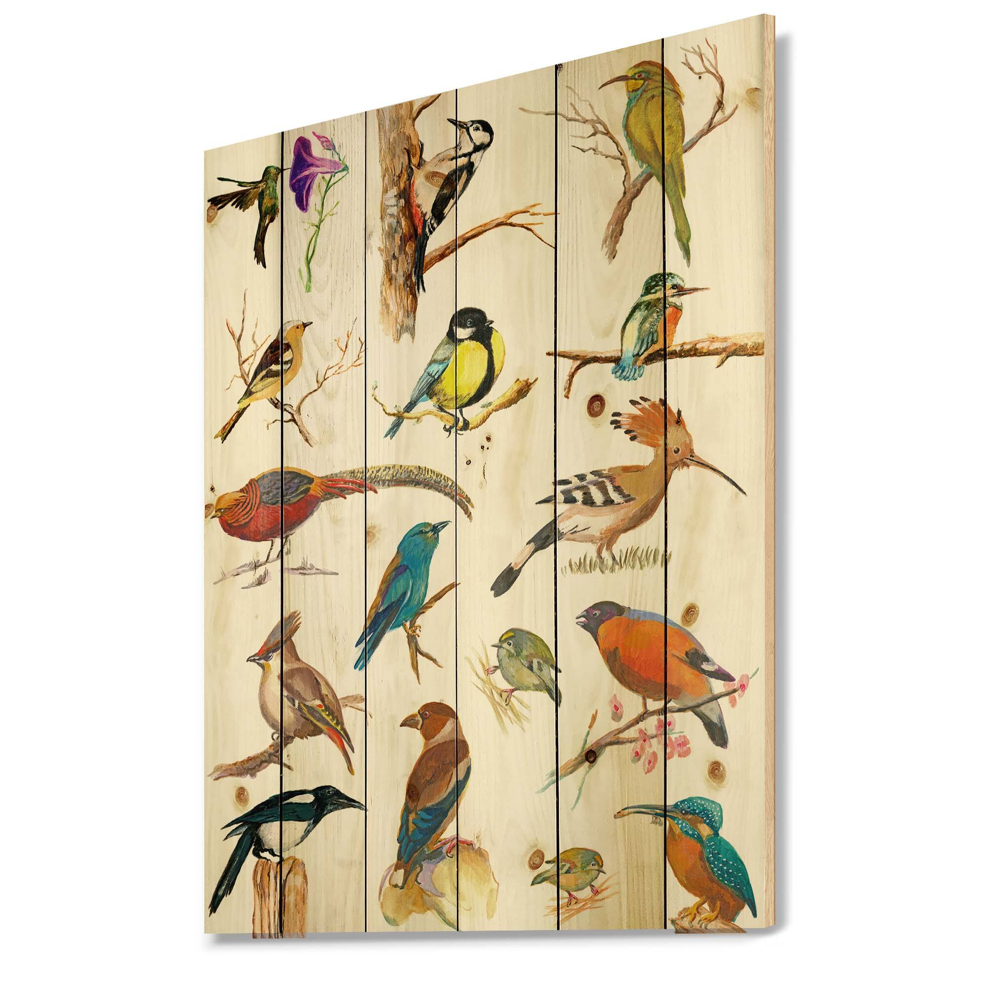 Designart - Vibrant Colored Birds Plancard - Traditional Print on Natural Pine Wood