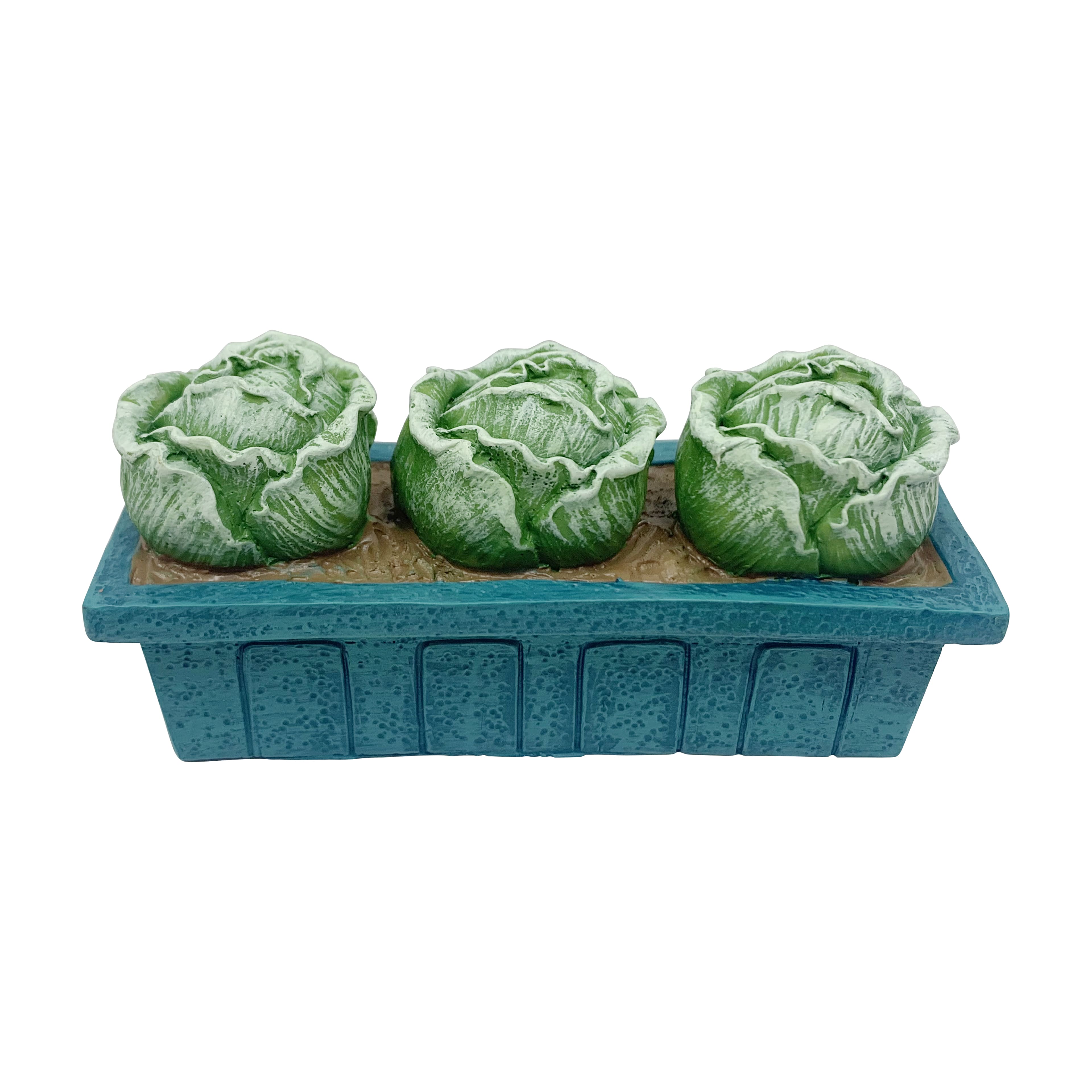 Mini Cabbage Plant by Ashland&#xAE;