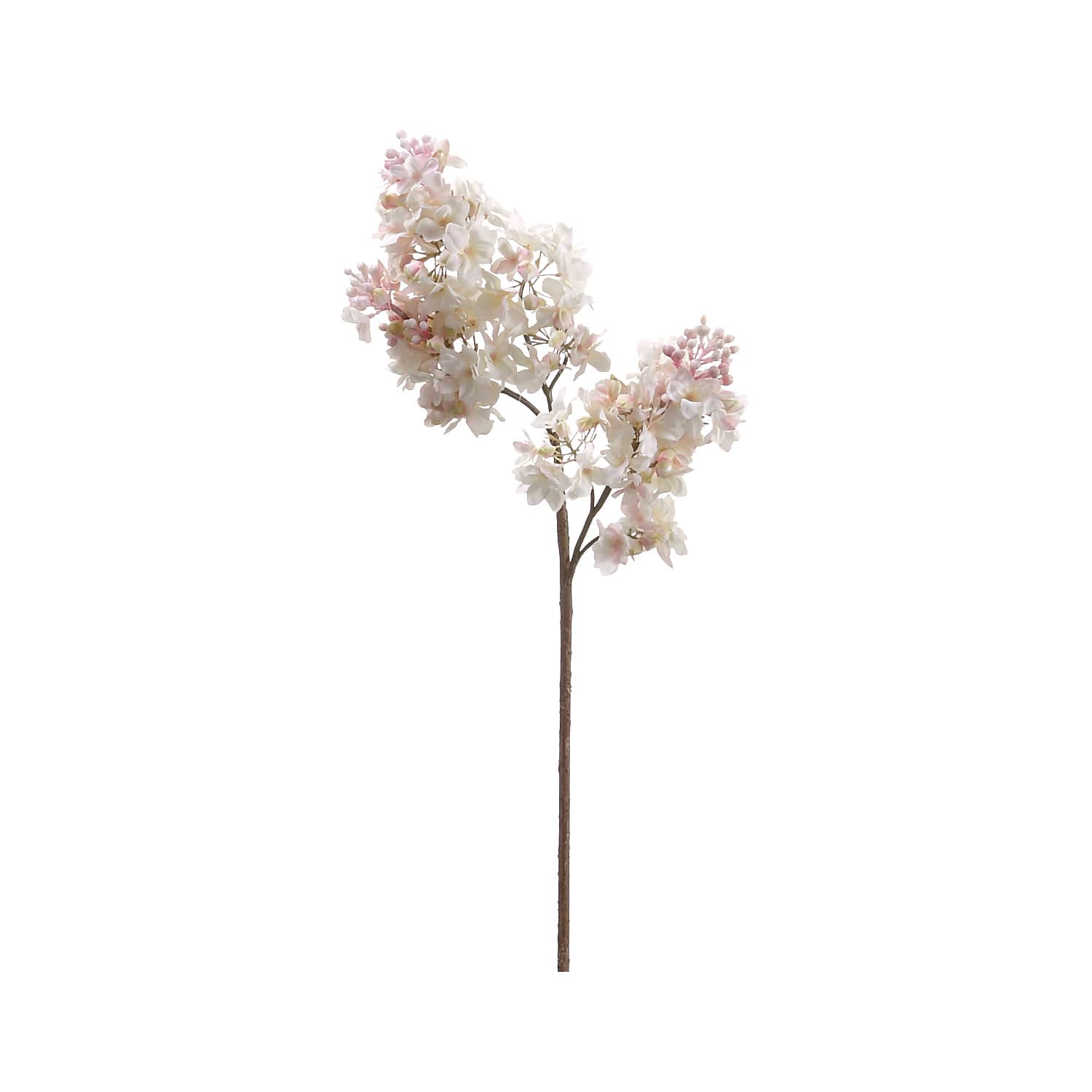 Pink &#x26; Cream Lilac Spray