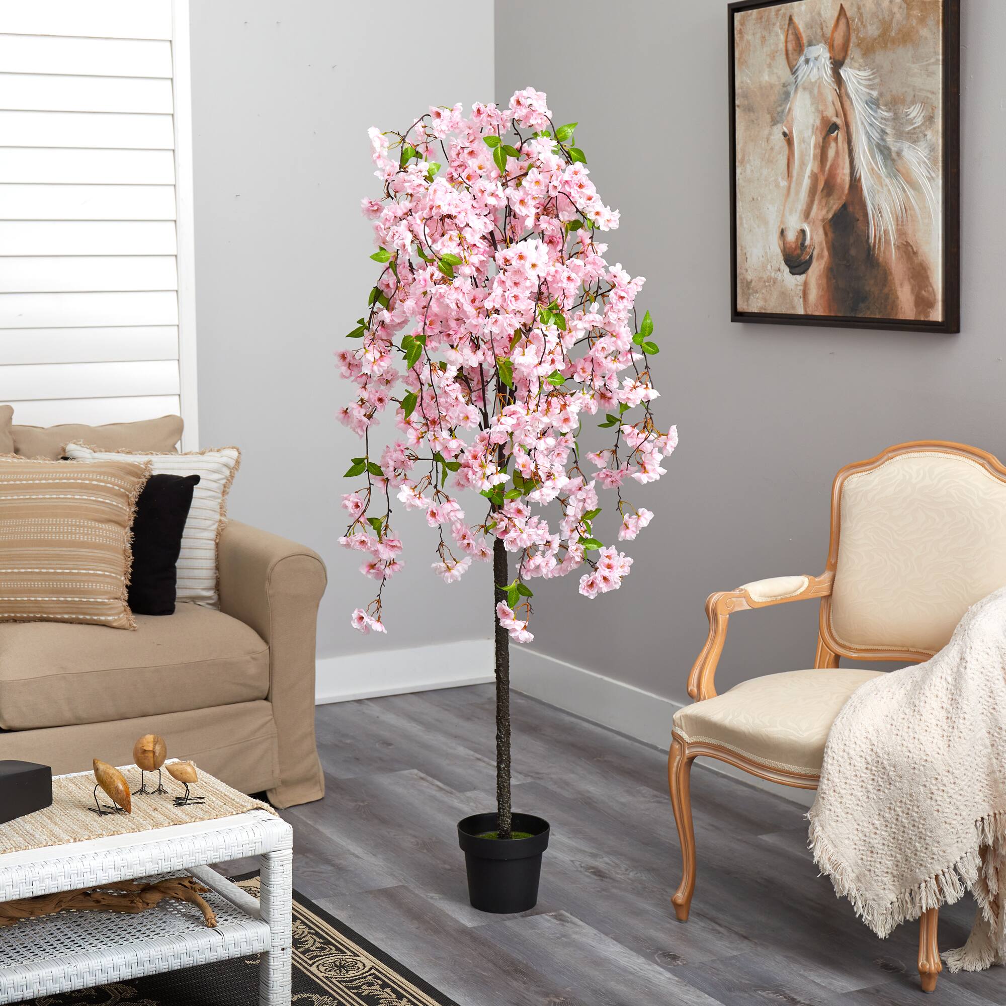 5ft. Potted Cherry Blossom Tree