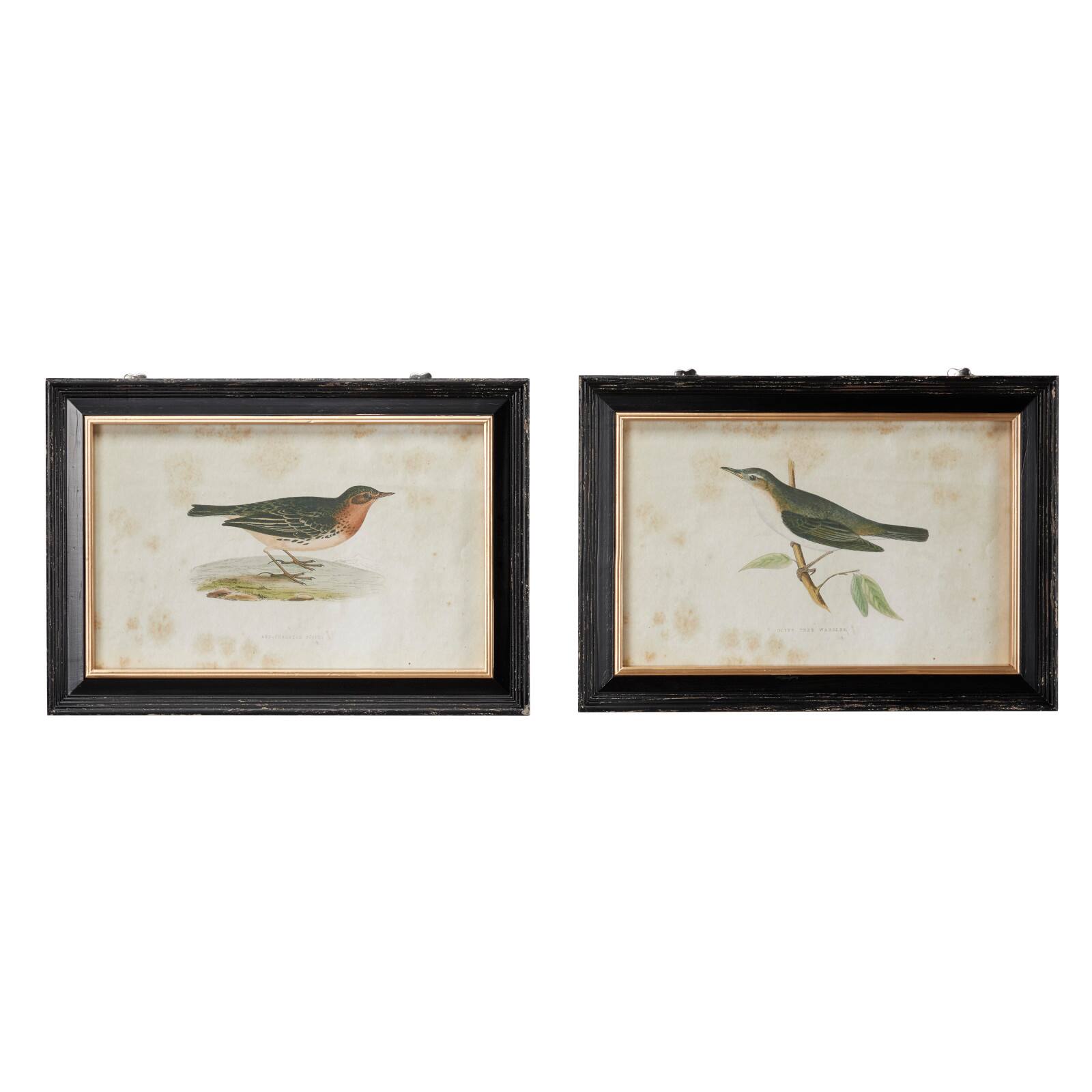 Black Wood Farmhouse Cottage Birds Wall Art Set