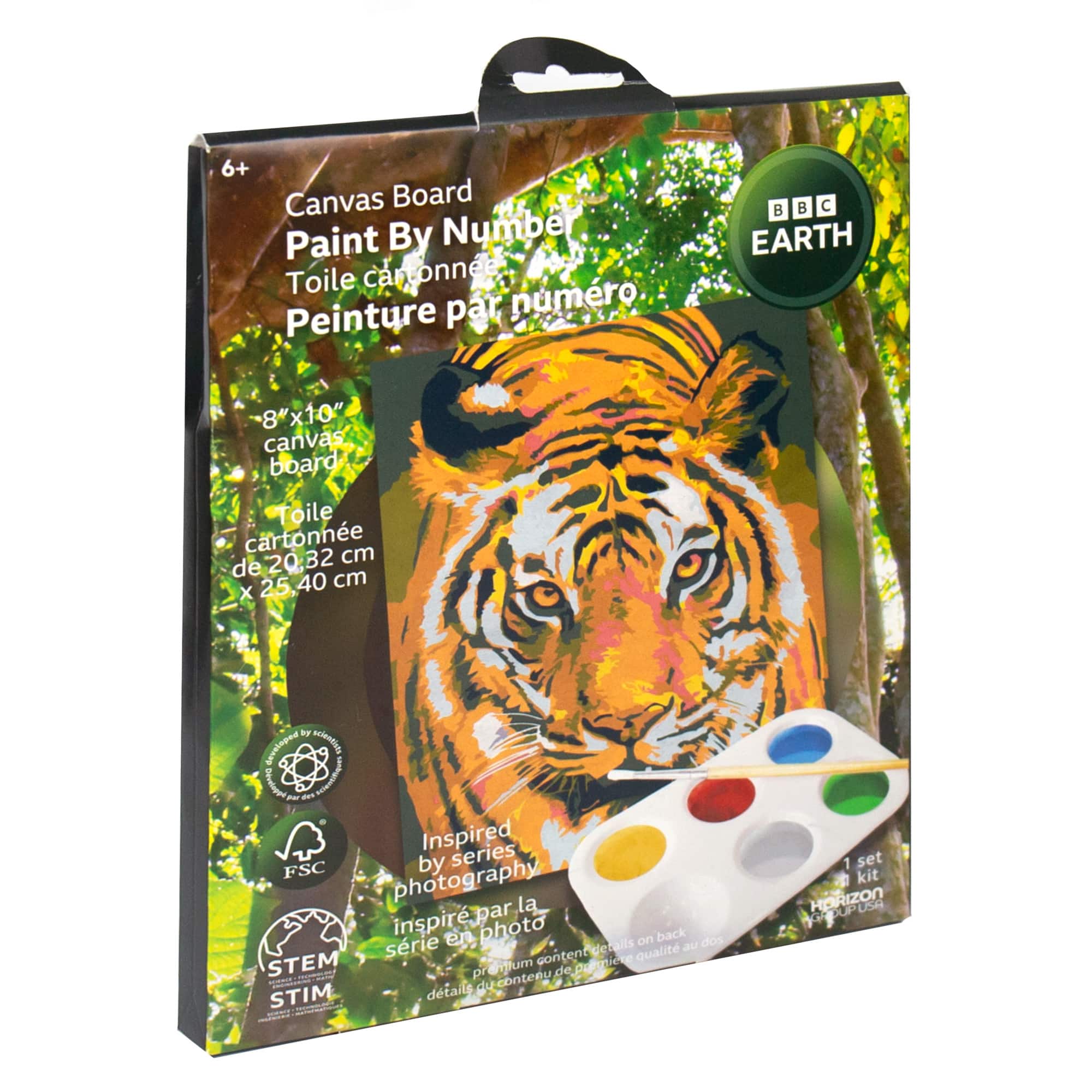 BBC Earth Canvas Board Tiger Paint by Number