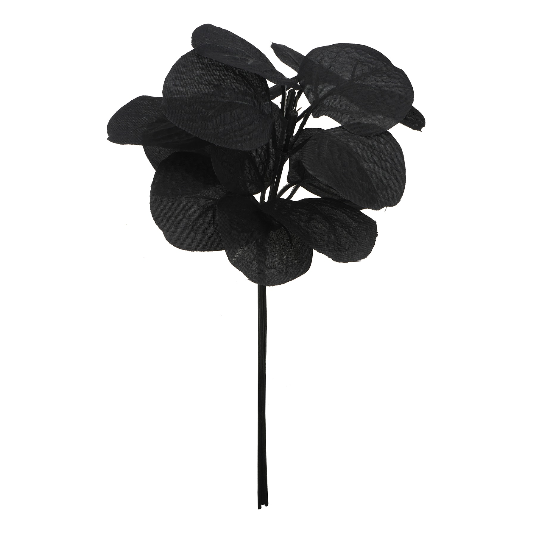 10.5&#x22; Mini Eucalyptus Bundle by Ashland&#xAE;