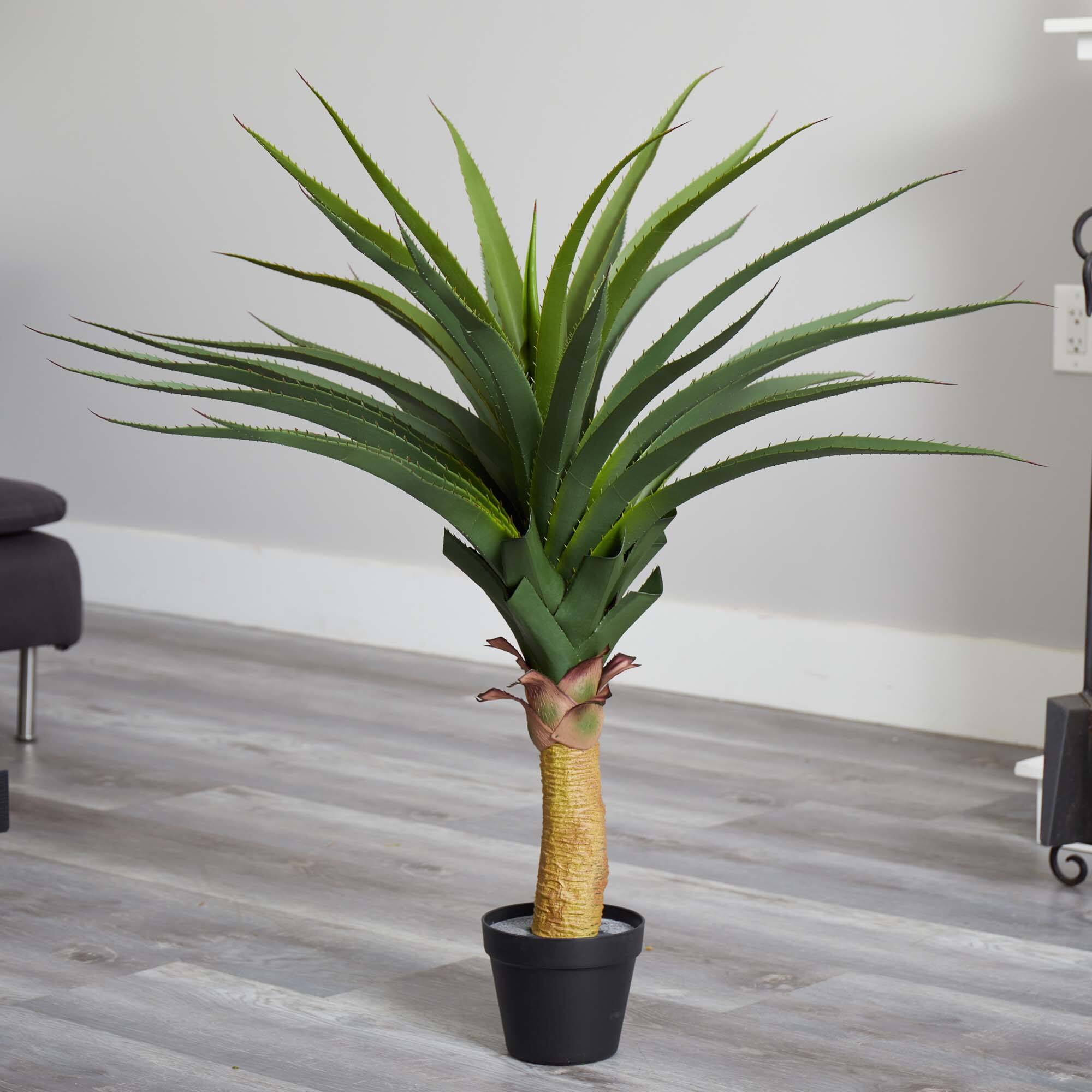3.5ft. Potted Agave Plant