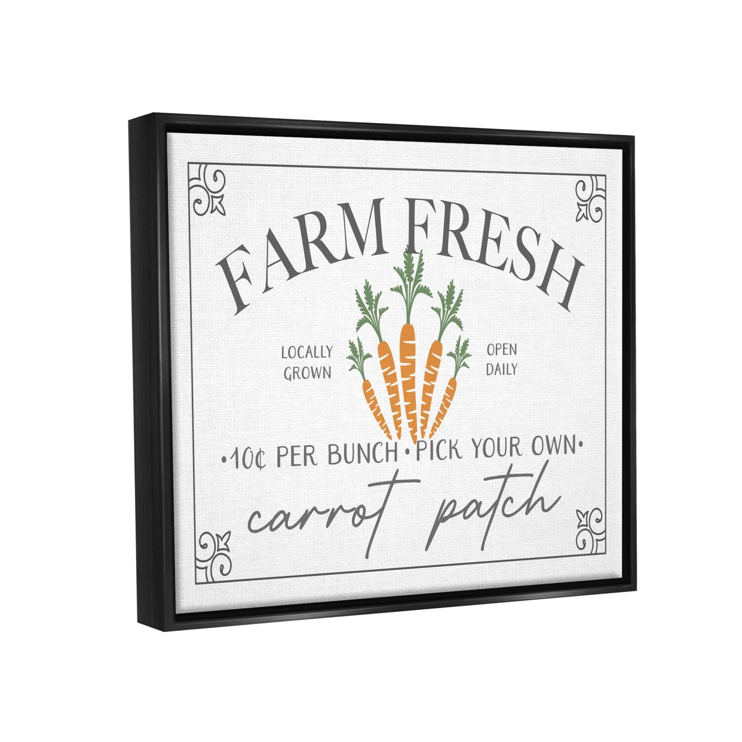 Stupell Industries Farm Fresh Carrot Patch Seasonal Springtime Vegetables Floater Framed Art