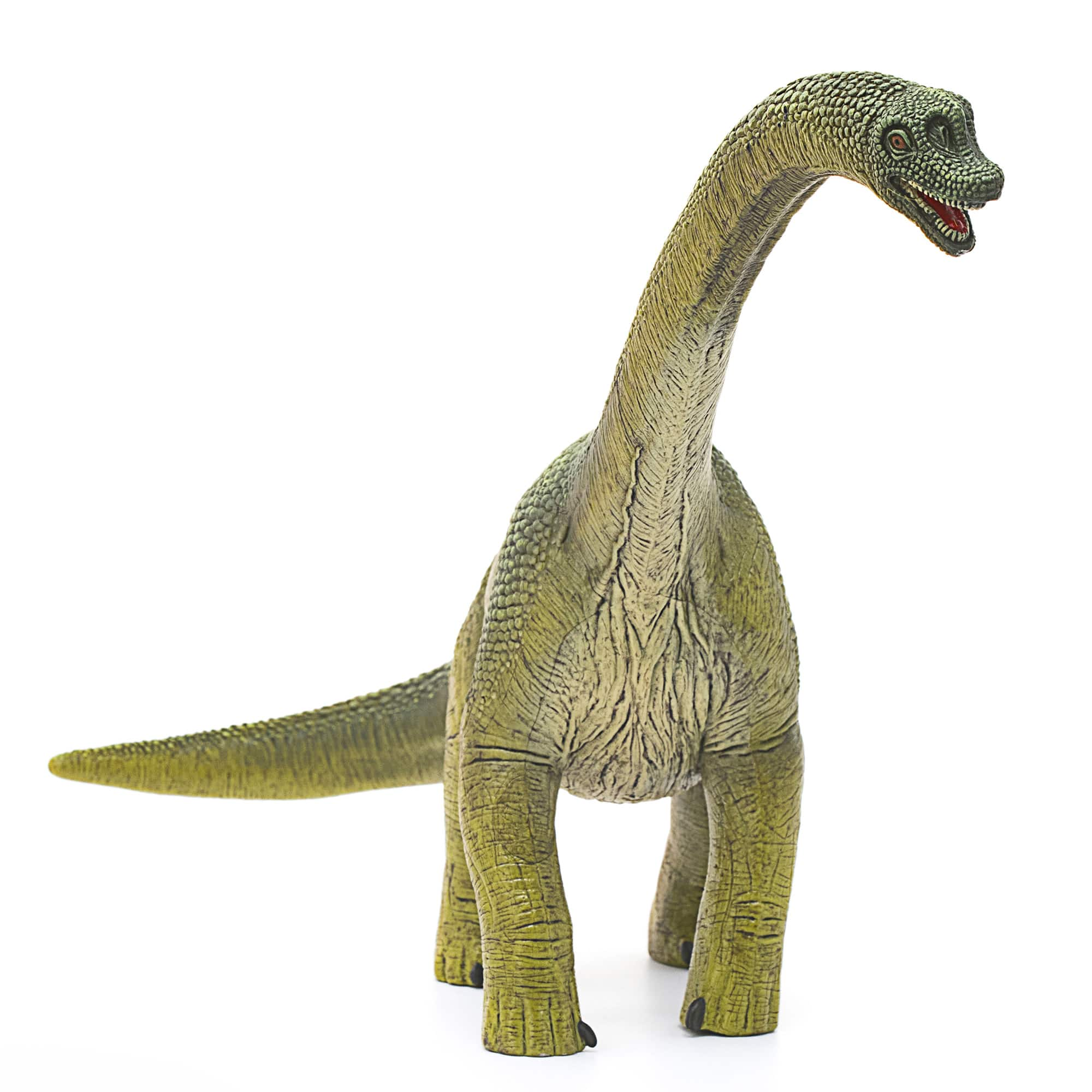 schleich&#xAE; Dinosaurs 9.5&#x22; Brachiosaurus Action Figure