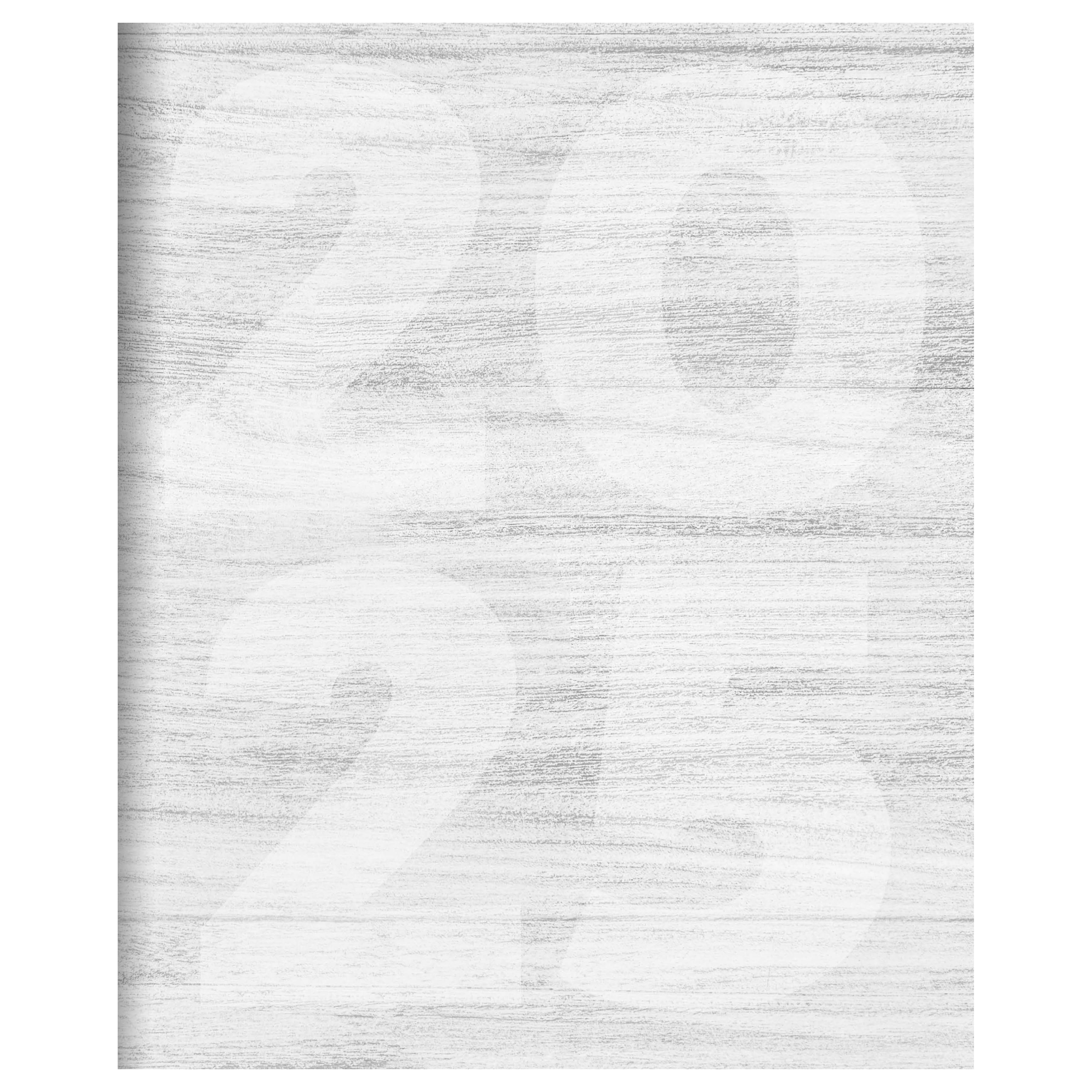 TF Publishing 2025 Driftwood Large Monthly Planner