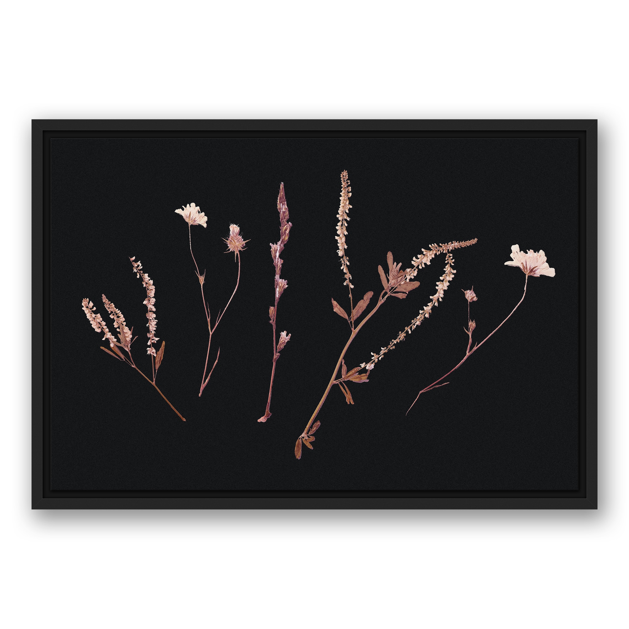 Pink Botanical 24" x 16" Black Floating Framed Canvas