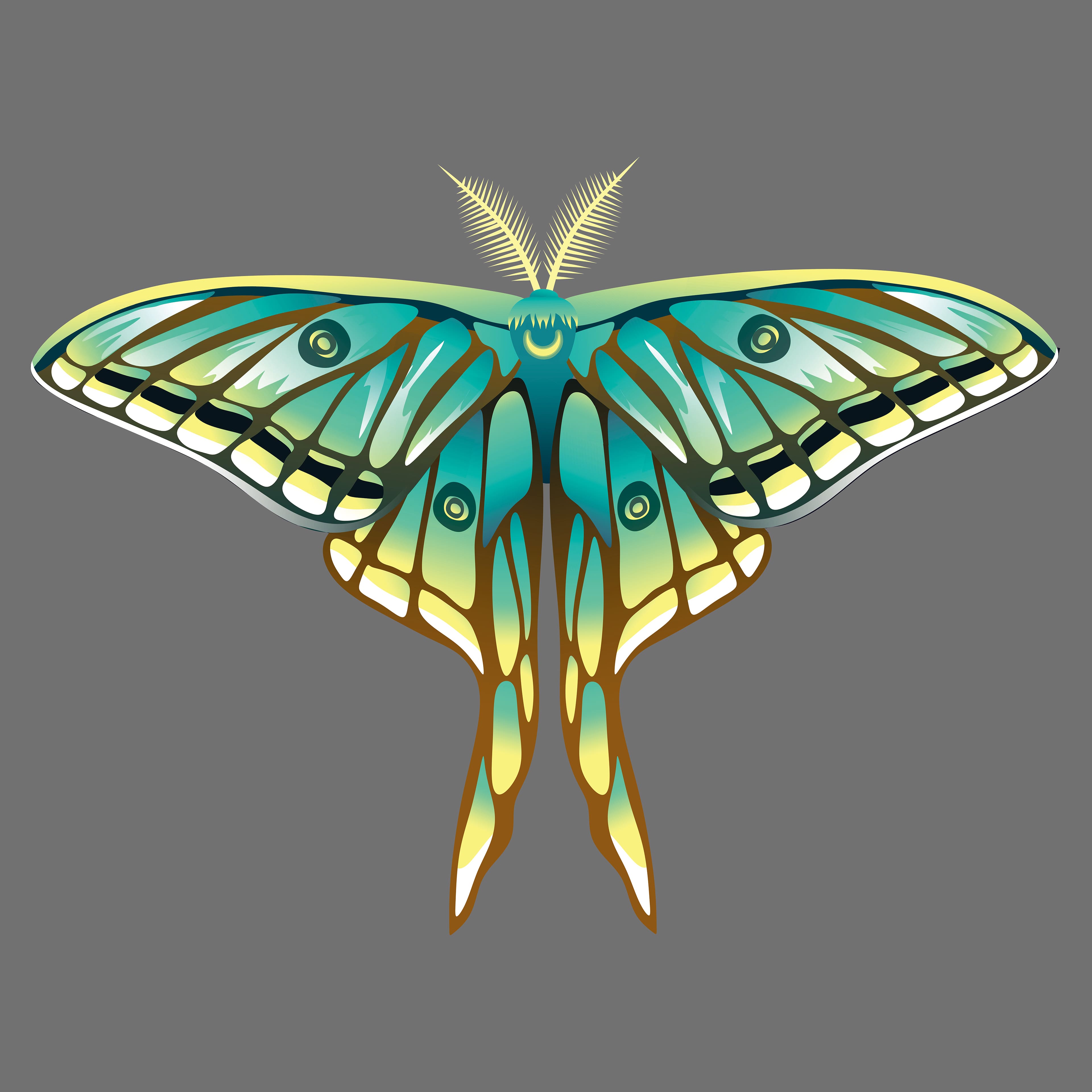 4&#x22; x 4&#x22; Moths Canvas Painting Kit by Craft Smart&#xAE;