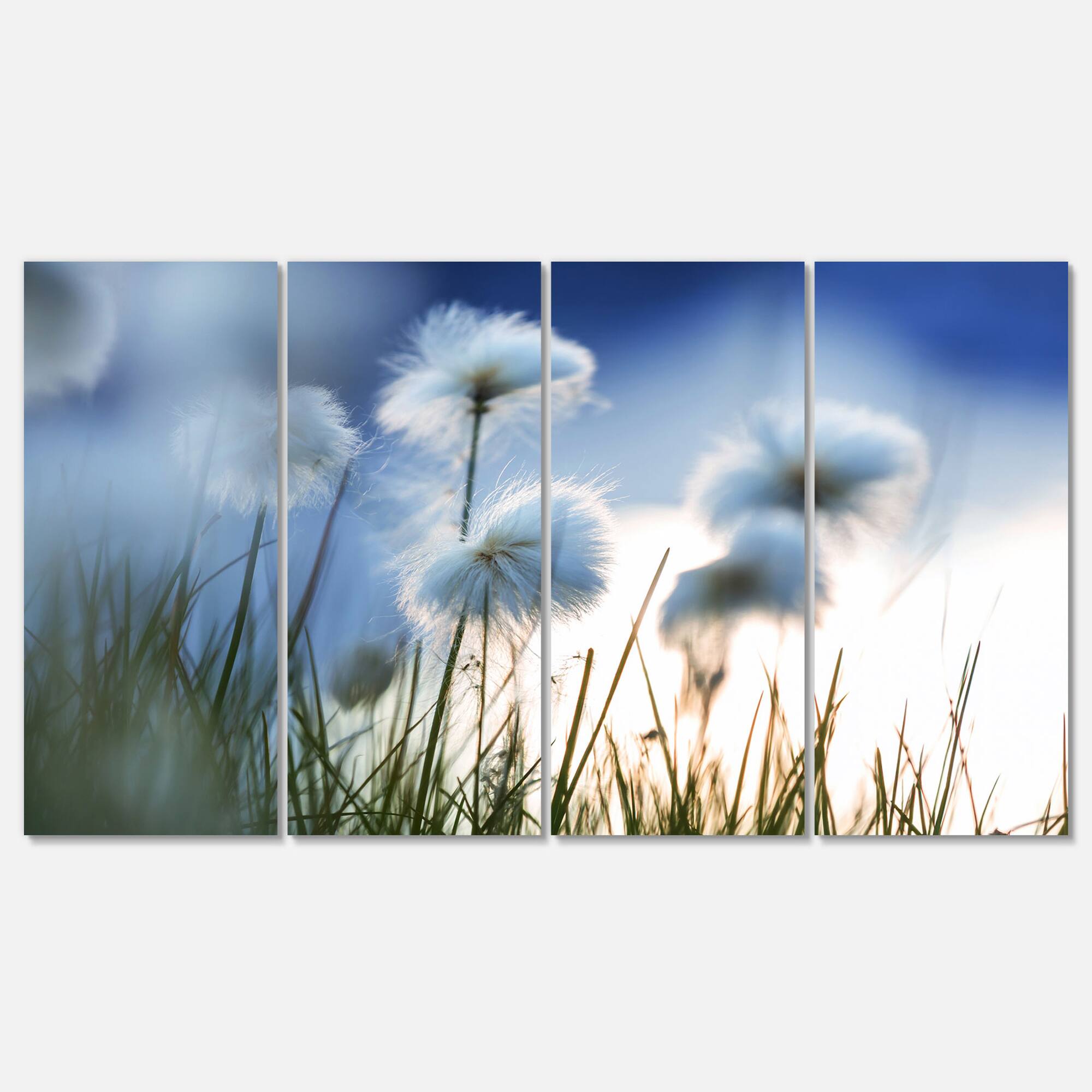 Designart - Beautiful Polar White Flowers