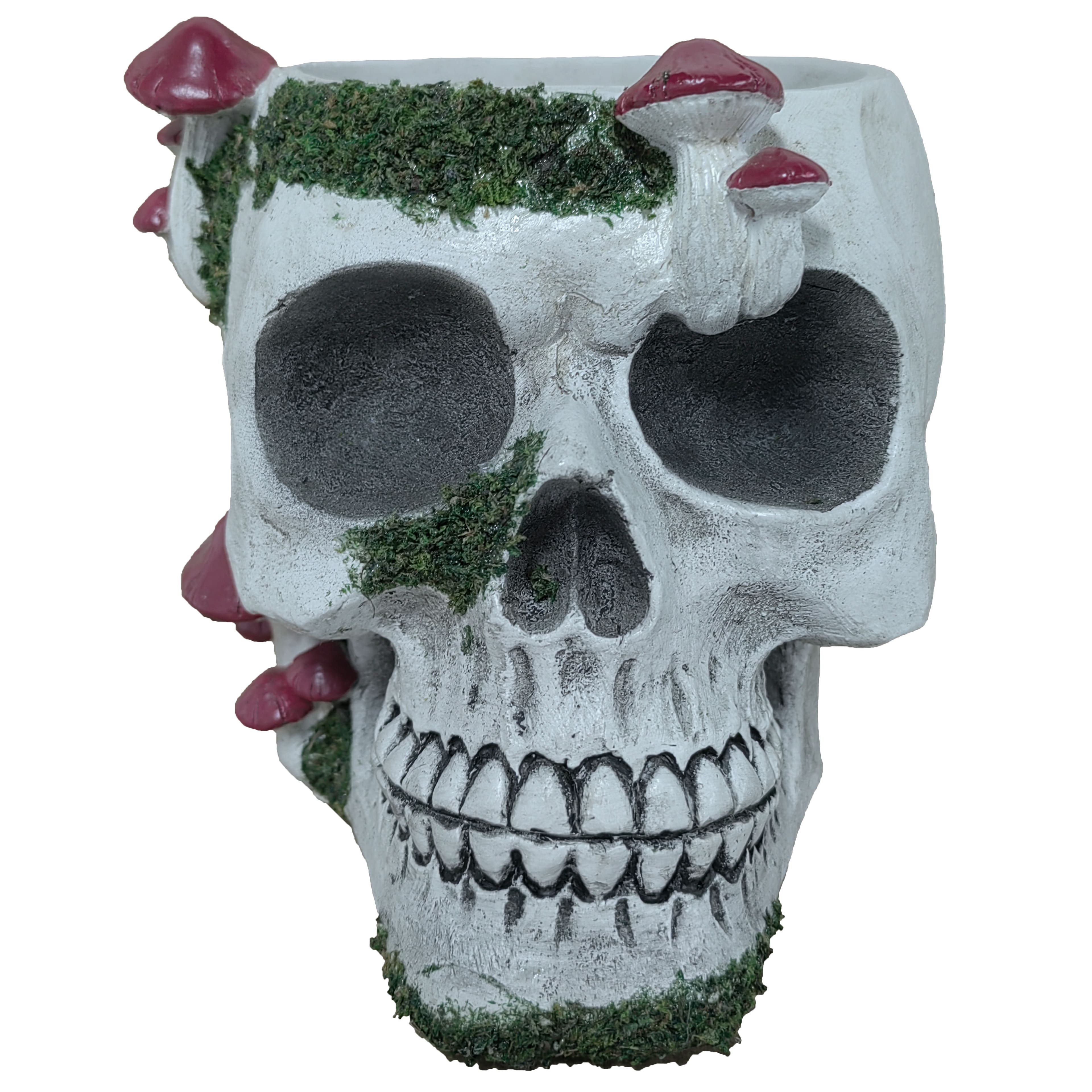 6.5&#x22; Mushroom Skull Container by Ashland&#xAE;
