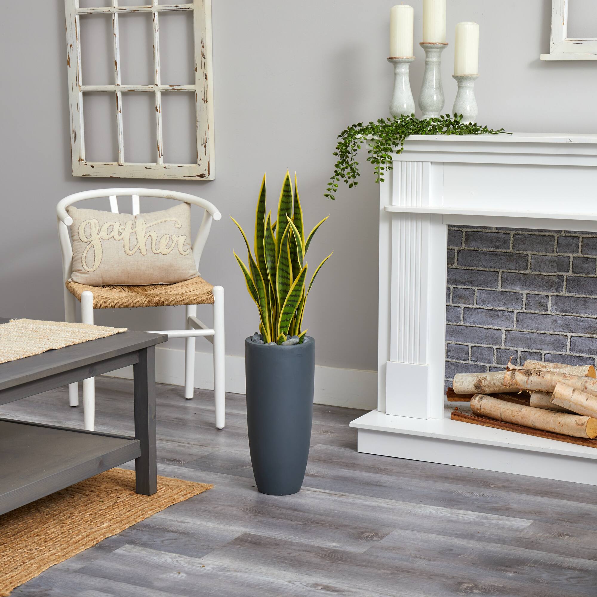 3ft. Sansevieria Plant in Gray Planter