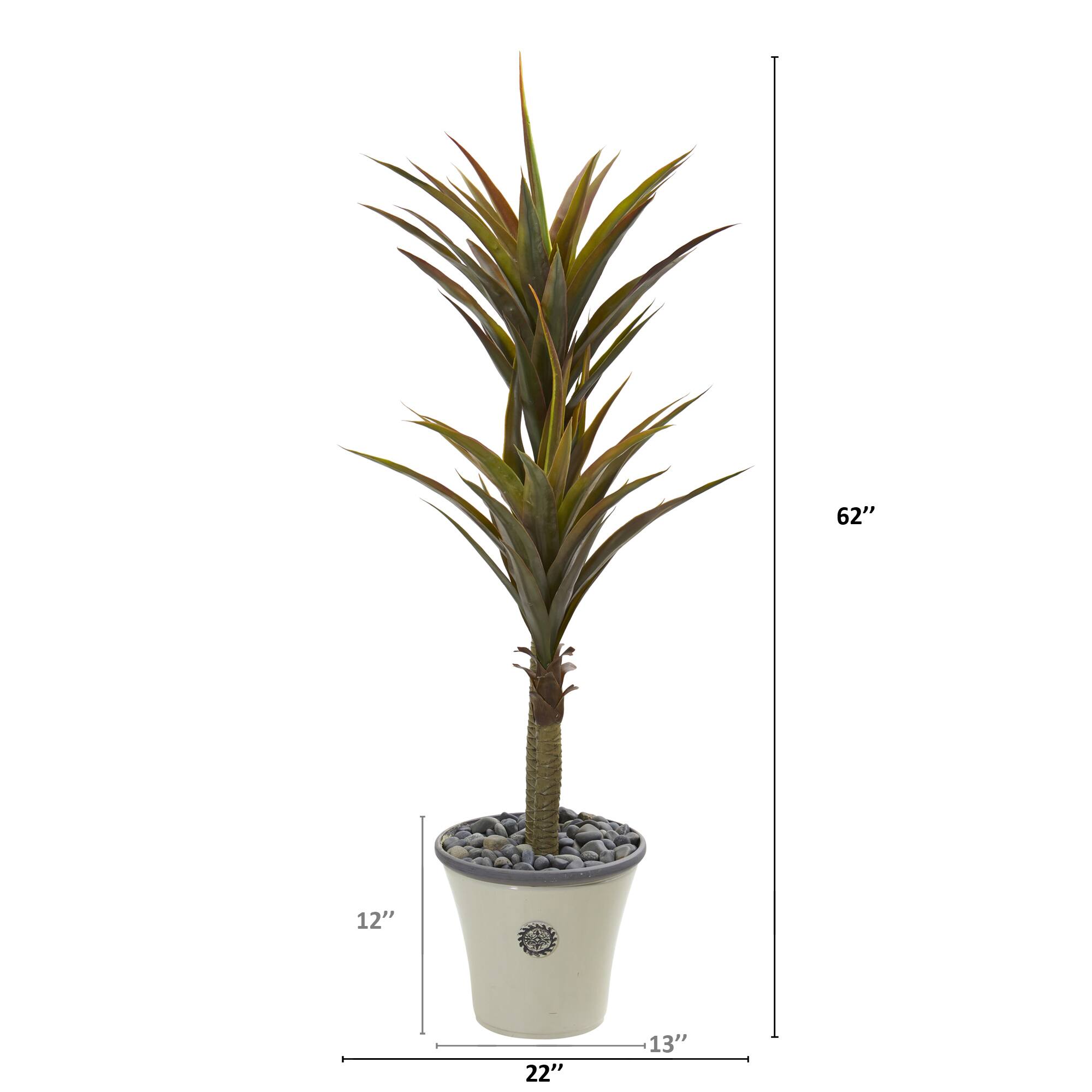 5ft. Yucca Tree in Decorative Planter