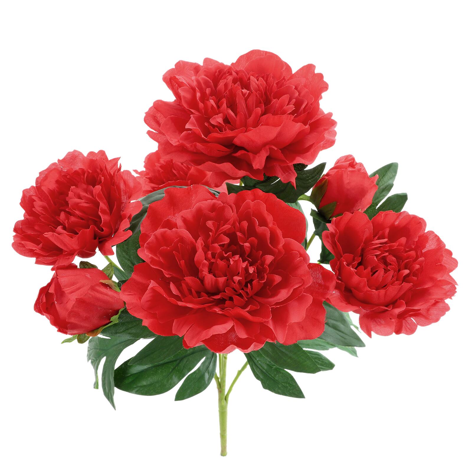 Red Peony Bush by Ashland® | Michaels