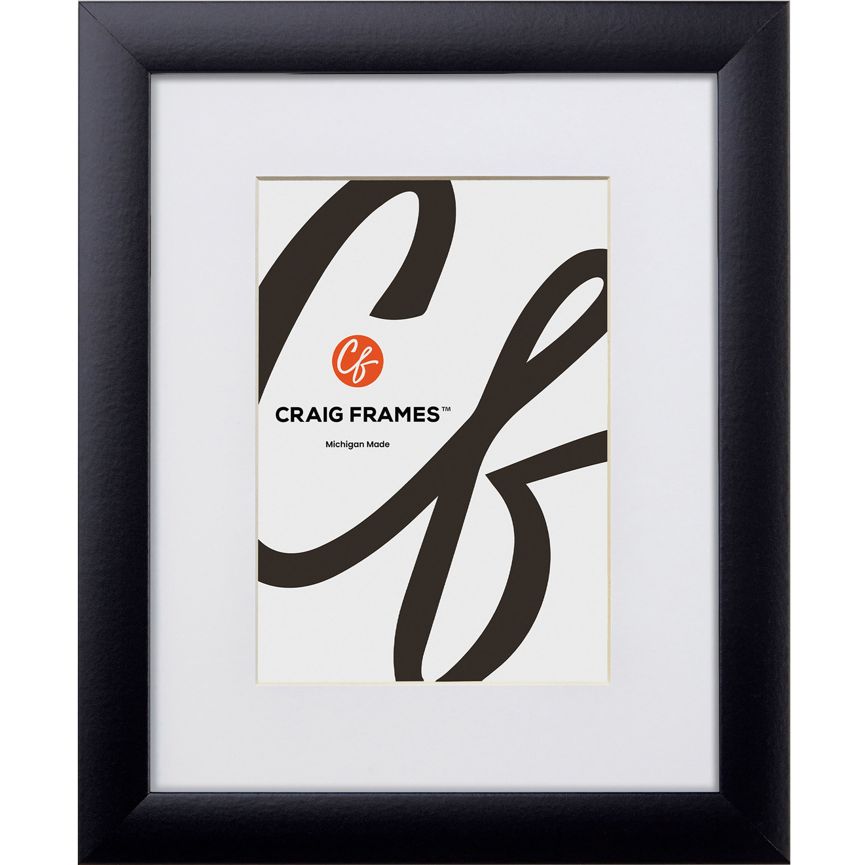 Craig Frames Contemporary Gallery Black Picture Frame with Mat