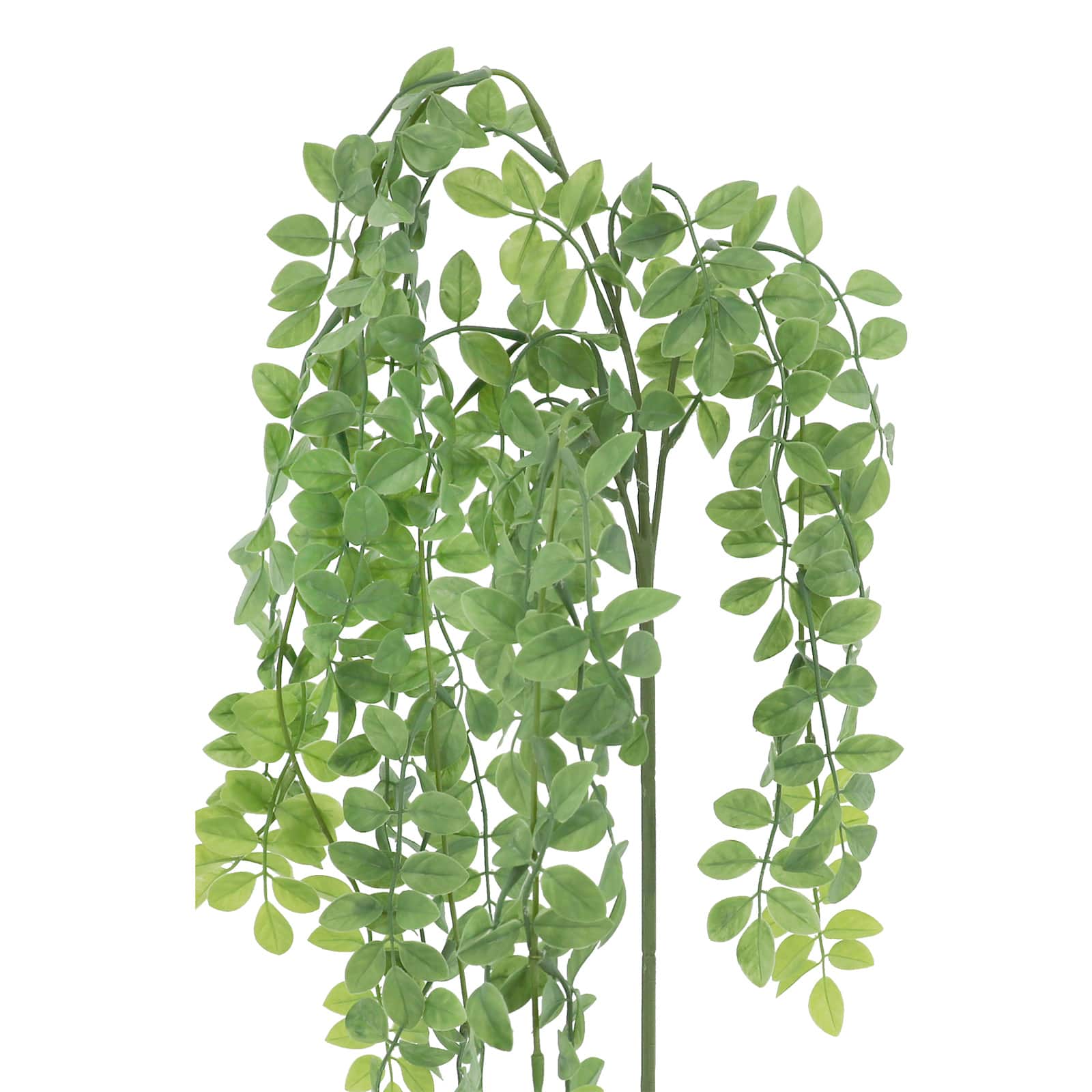 21&#x22; Green Hanging Foliage Stem by Ashland&#xAE;