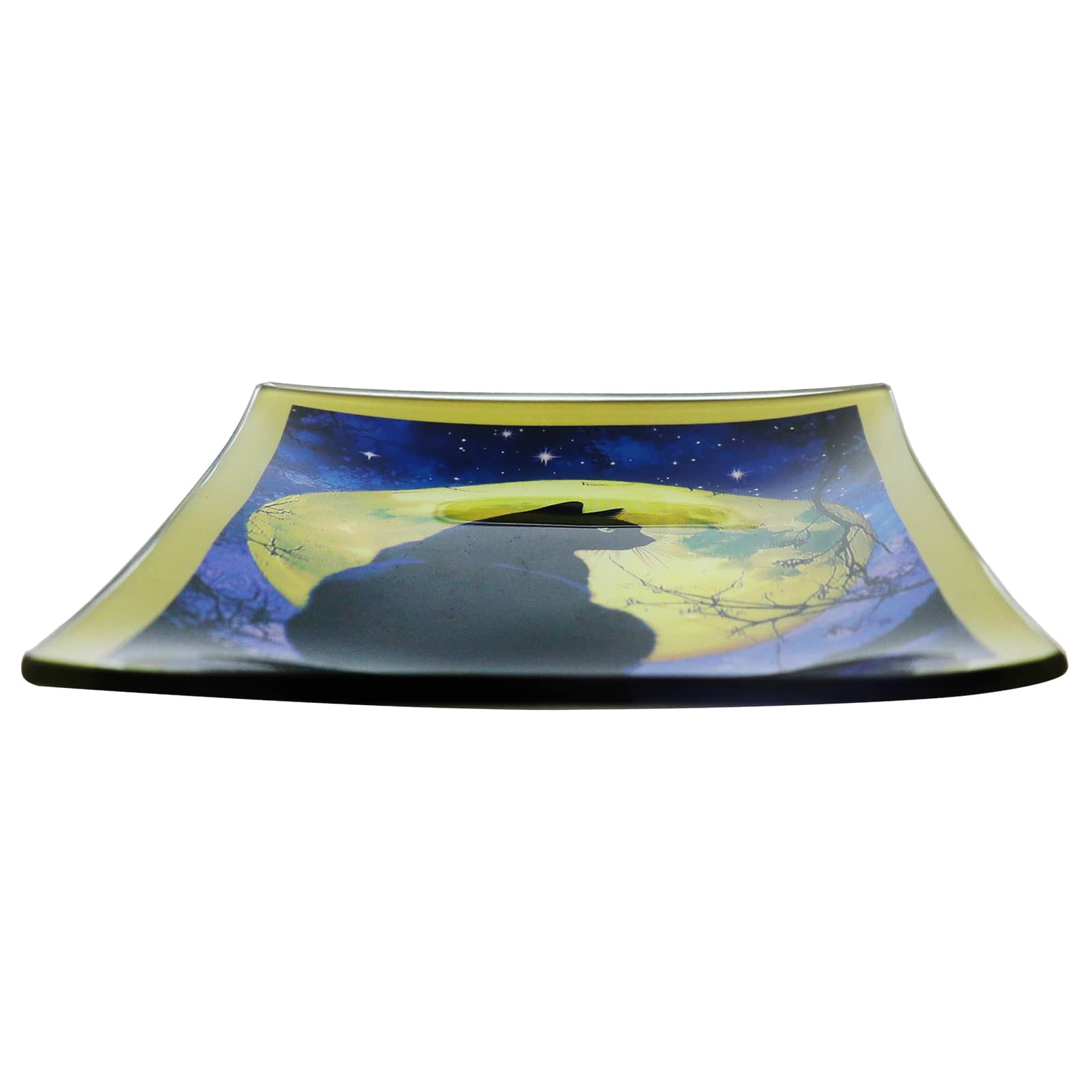 4&#x22; x 6&#x22; Black Cat Glass Plate by Ashland&#xAE;