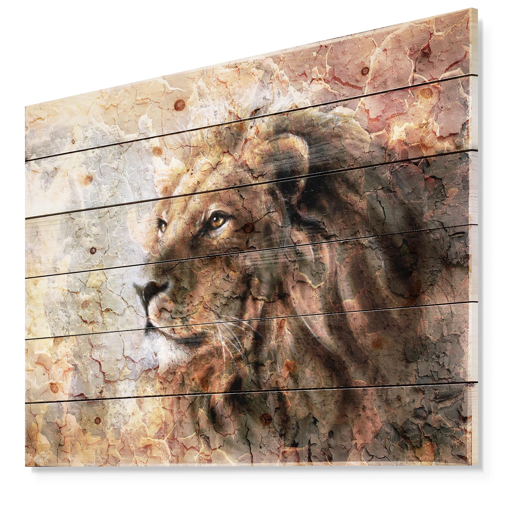 Designart - Peaceful Lion - Animal Art Print on Natural Pine Wood