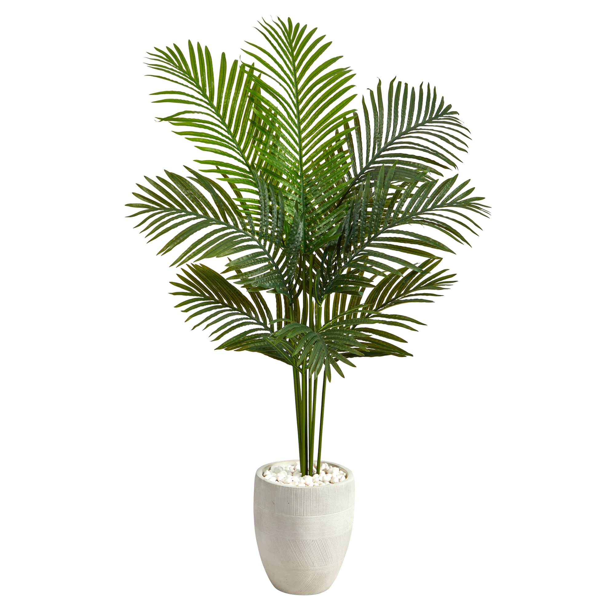 5ft. Paradise Palm Tree in White Planter | Michaels