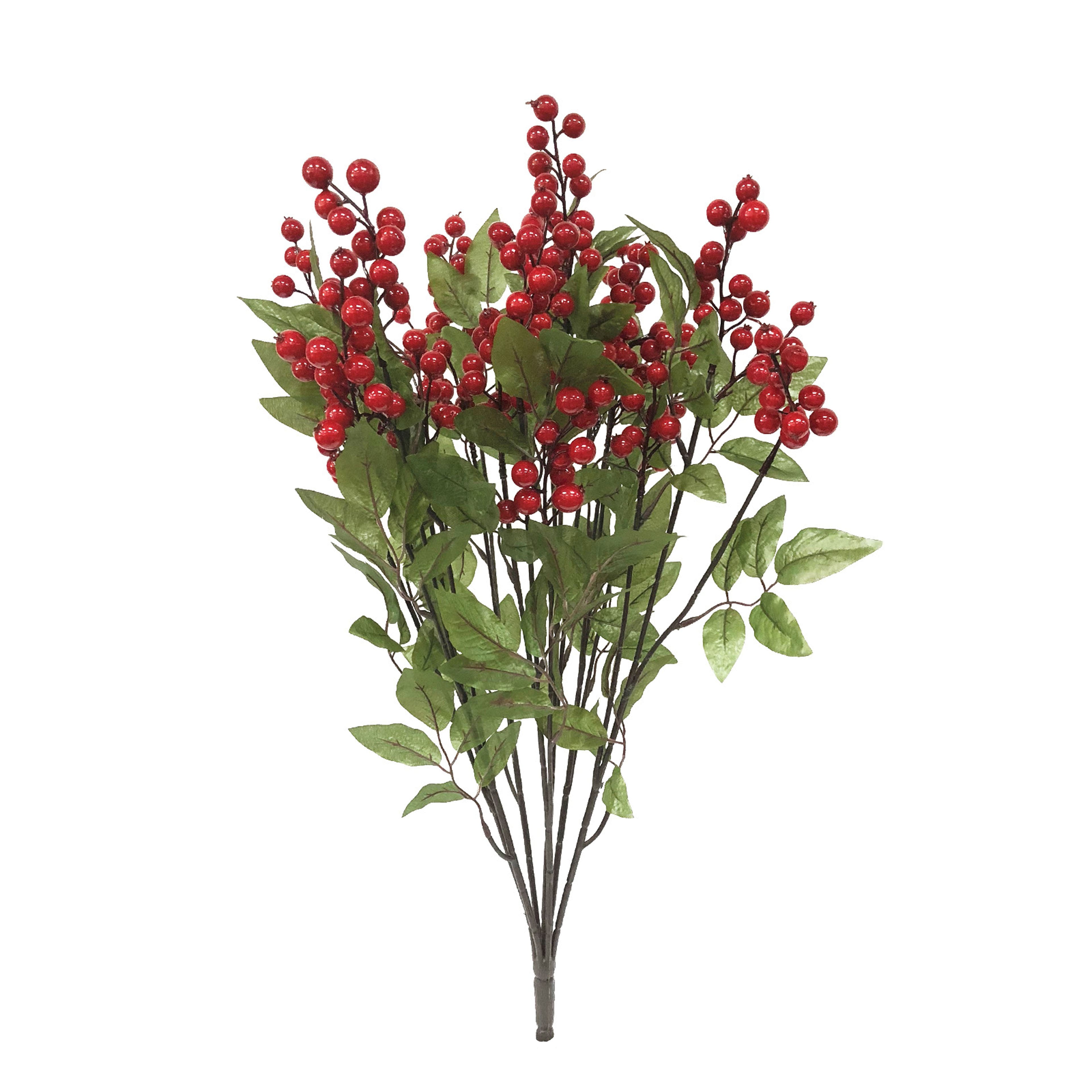 Red Cranberry Bush by Ashland&#xAE;