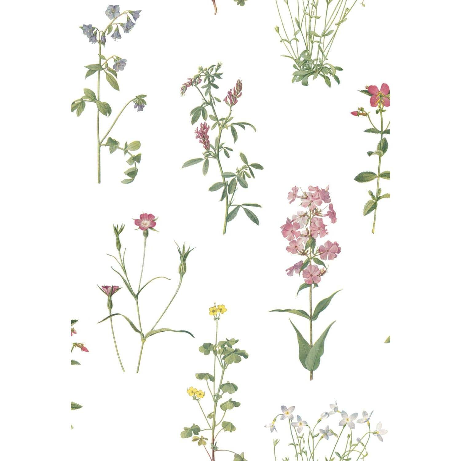 RoomMates Botanical Print Peel & Stick Wallpaper