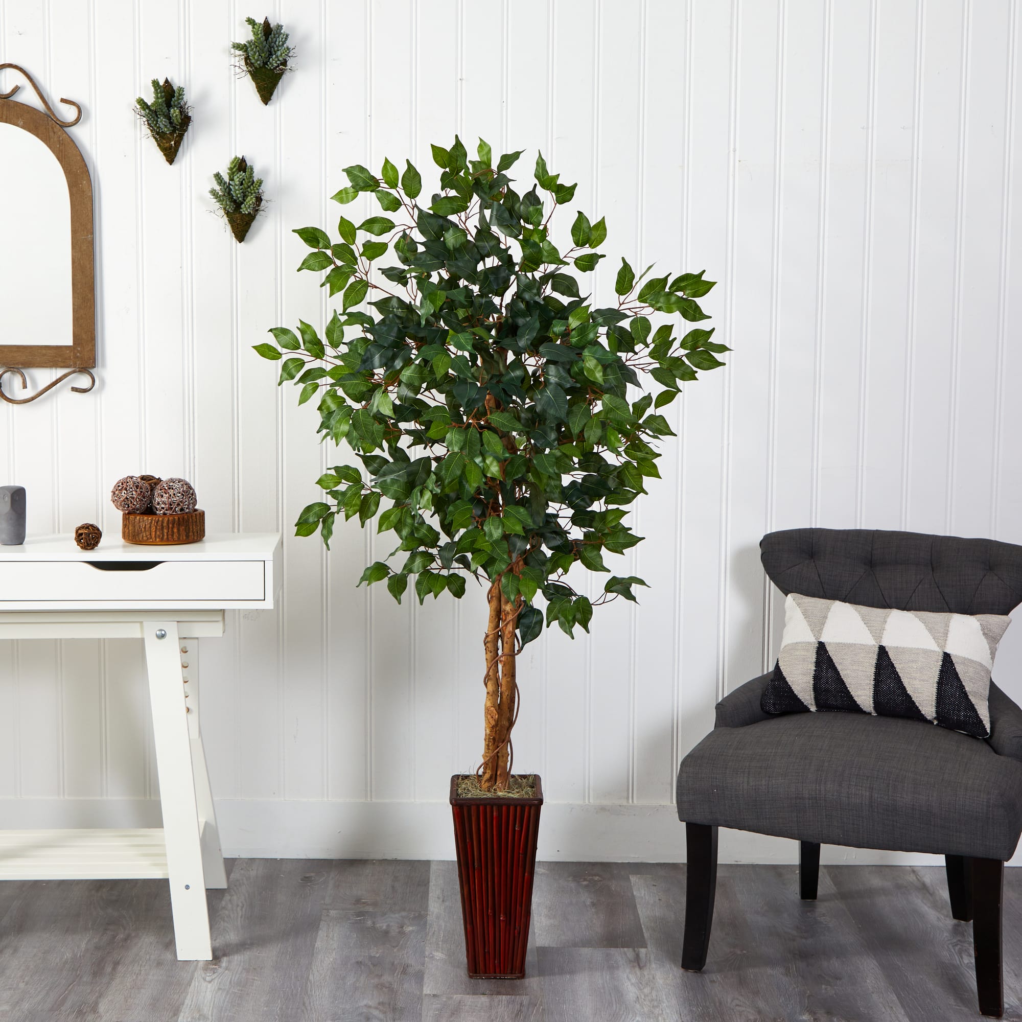 5.5ft. Ficus Tree in Bamboo Planter