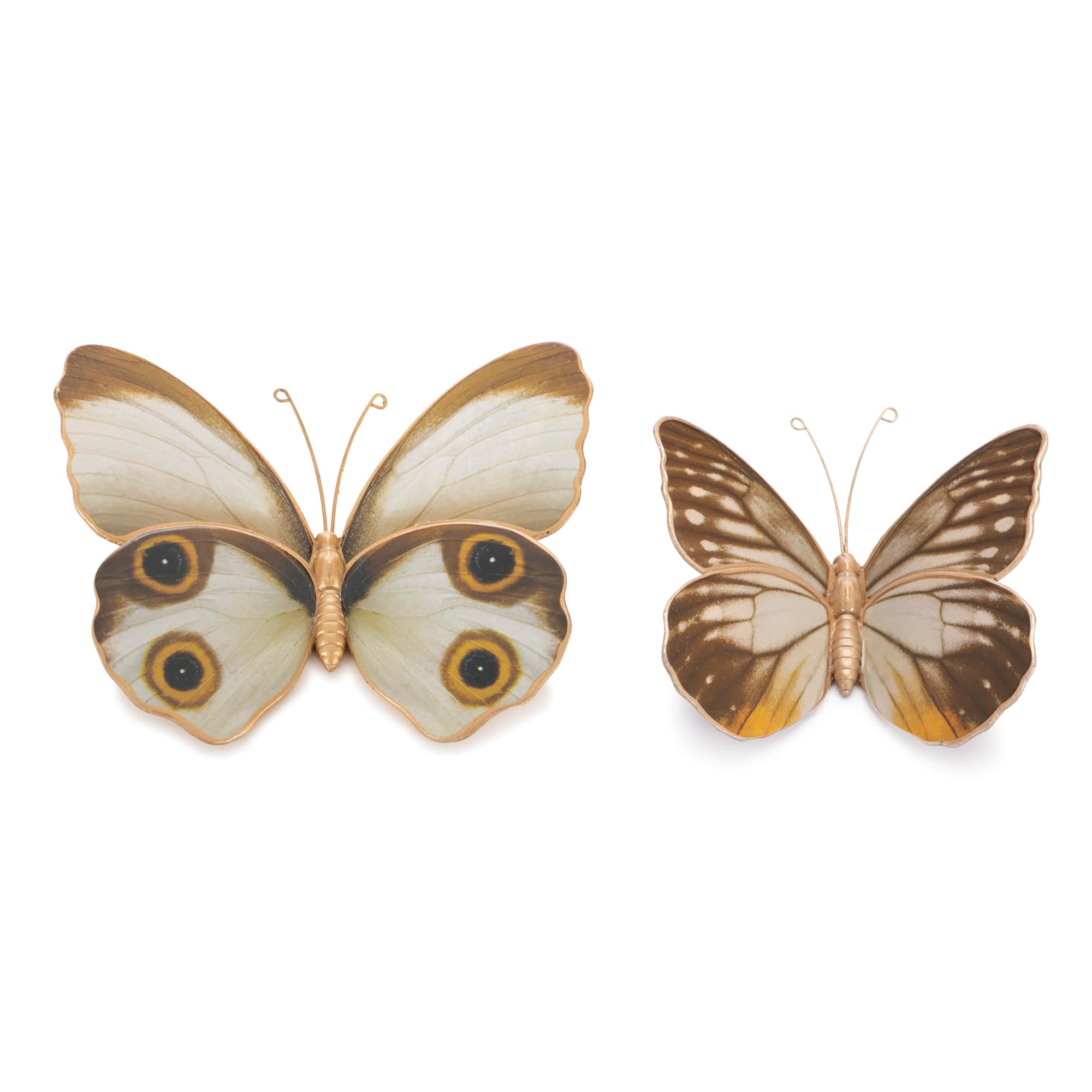 Amber Butterfly & Moth Shelf Sitter Set