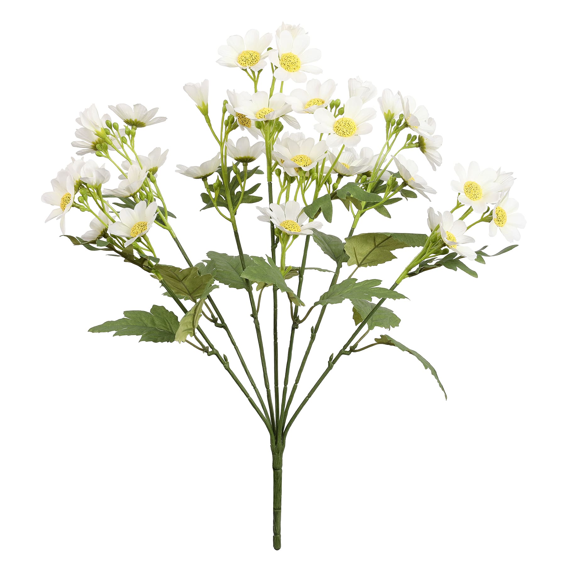 19&#x22; Cosmos Bush by Ashland&#xAE;