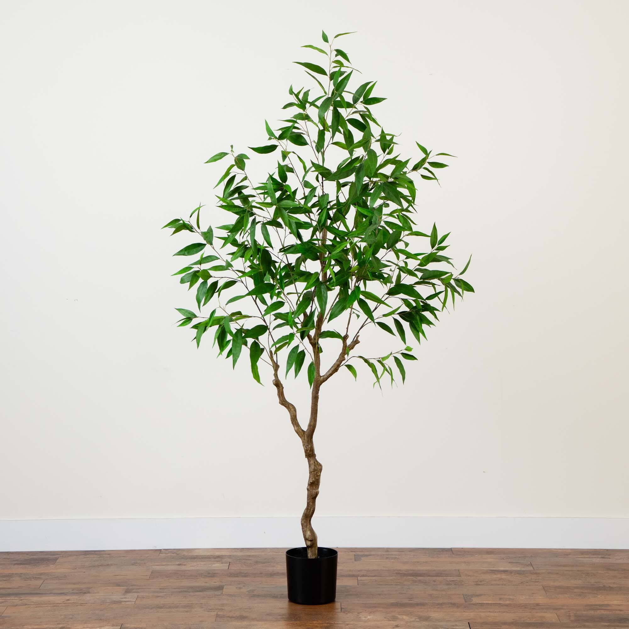 7ft. Potted Long Leaf Greco Eucalyptus Tree with Real Touch Leaves