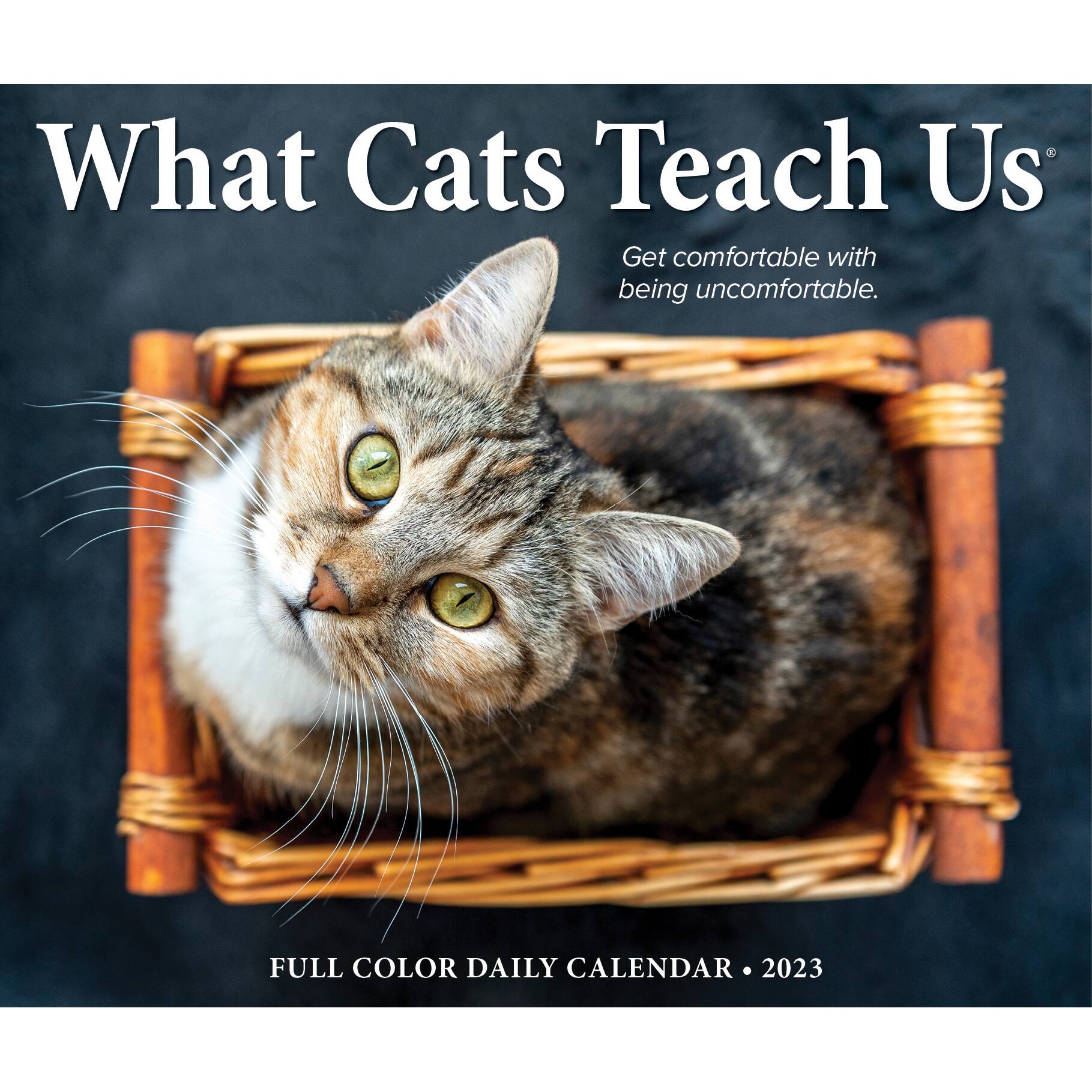 2023 What Cats Teach Us Box Calendar Michaels