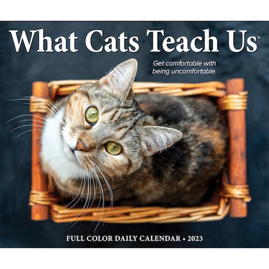 2025 What Cats Teach Us Box Calendar  Michaels