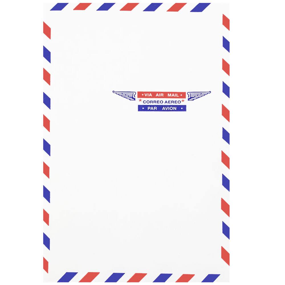 JAM Paper 6&#x22; x 9&#x22; White Open End Catalog Airmail Envelopes