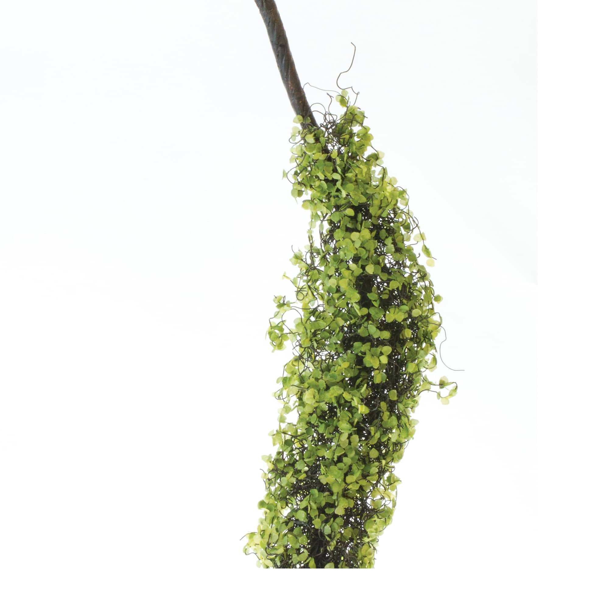 40&#x22; Moss Foliage Vine Branches, 2ct.