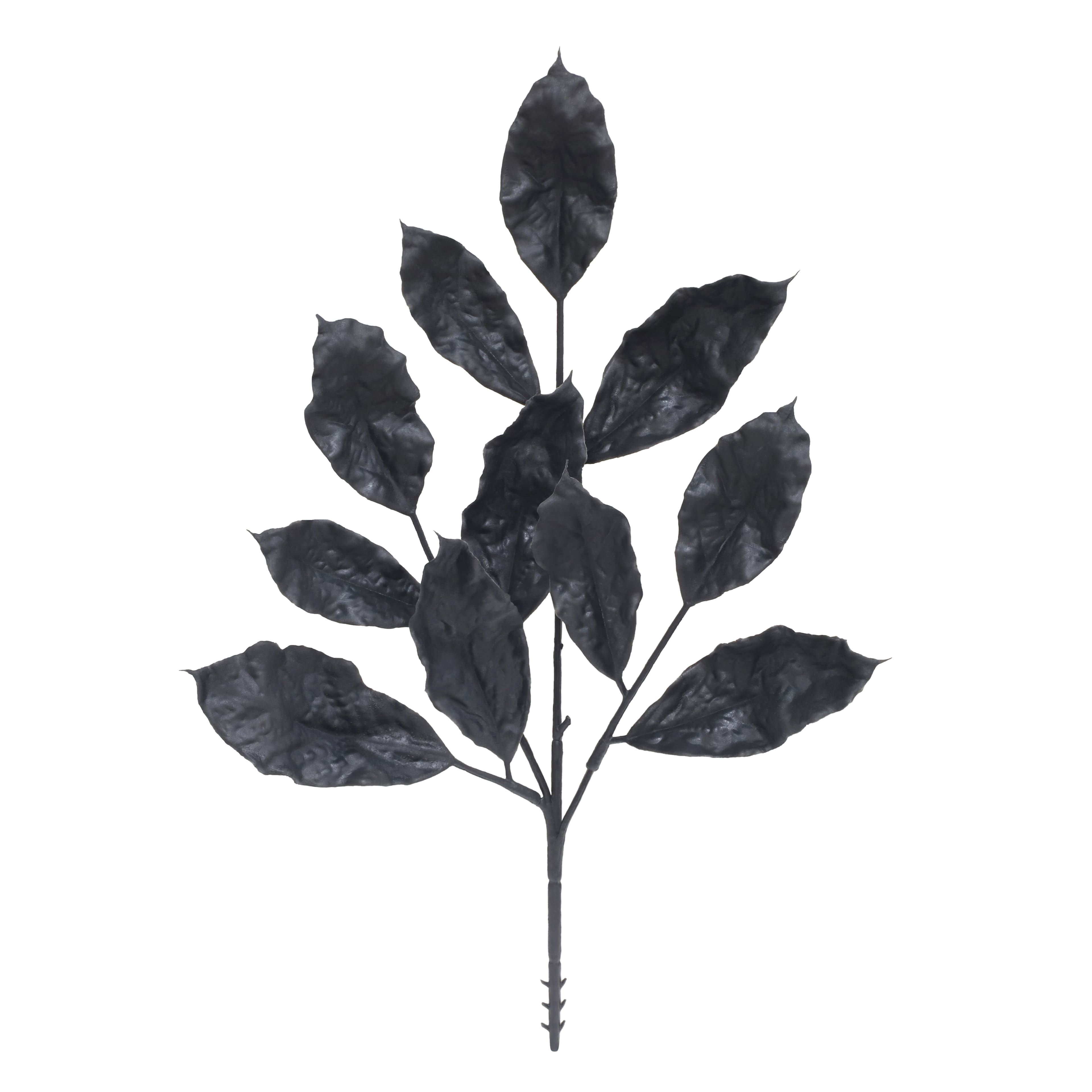 11&#x22; Black Dried Leaves Pick by Ashland&#xAE;