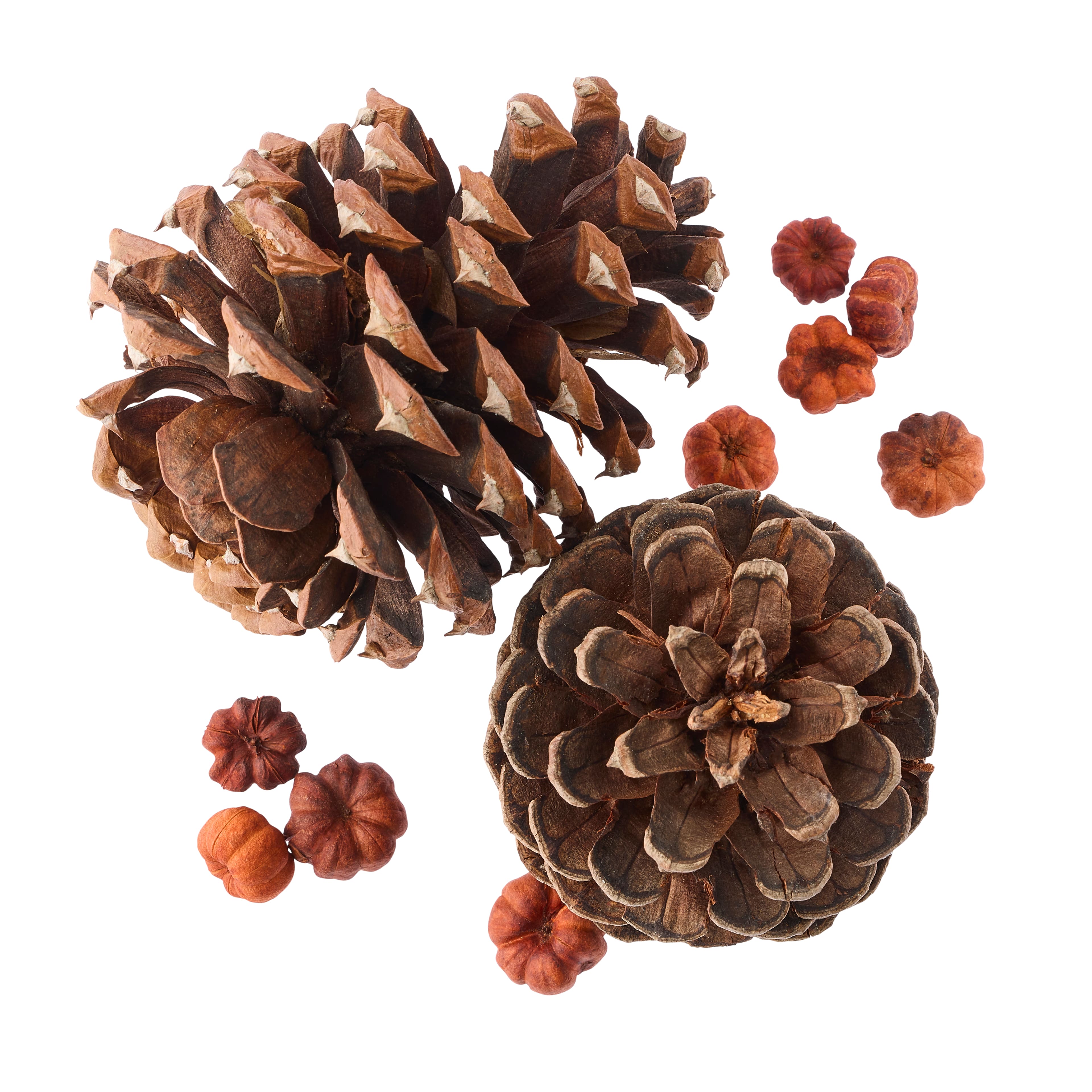 Pecan Caramel Scented Pinecones by Ashland&#xAE;