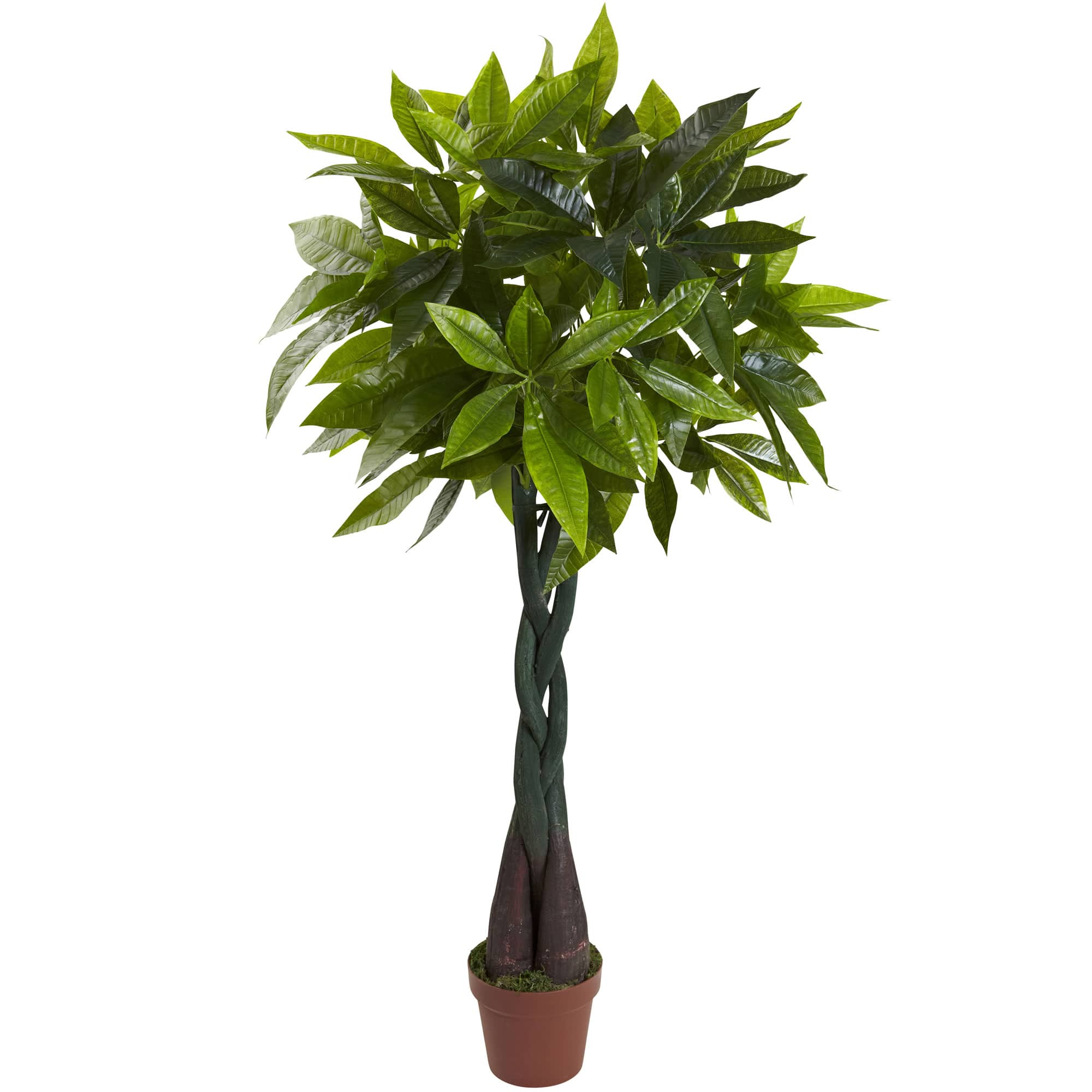 4Ft Potted Money Tree By Nearly Natural | Michaels®