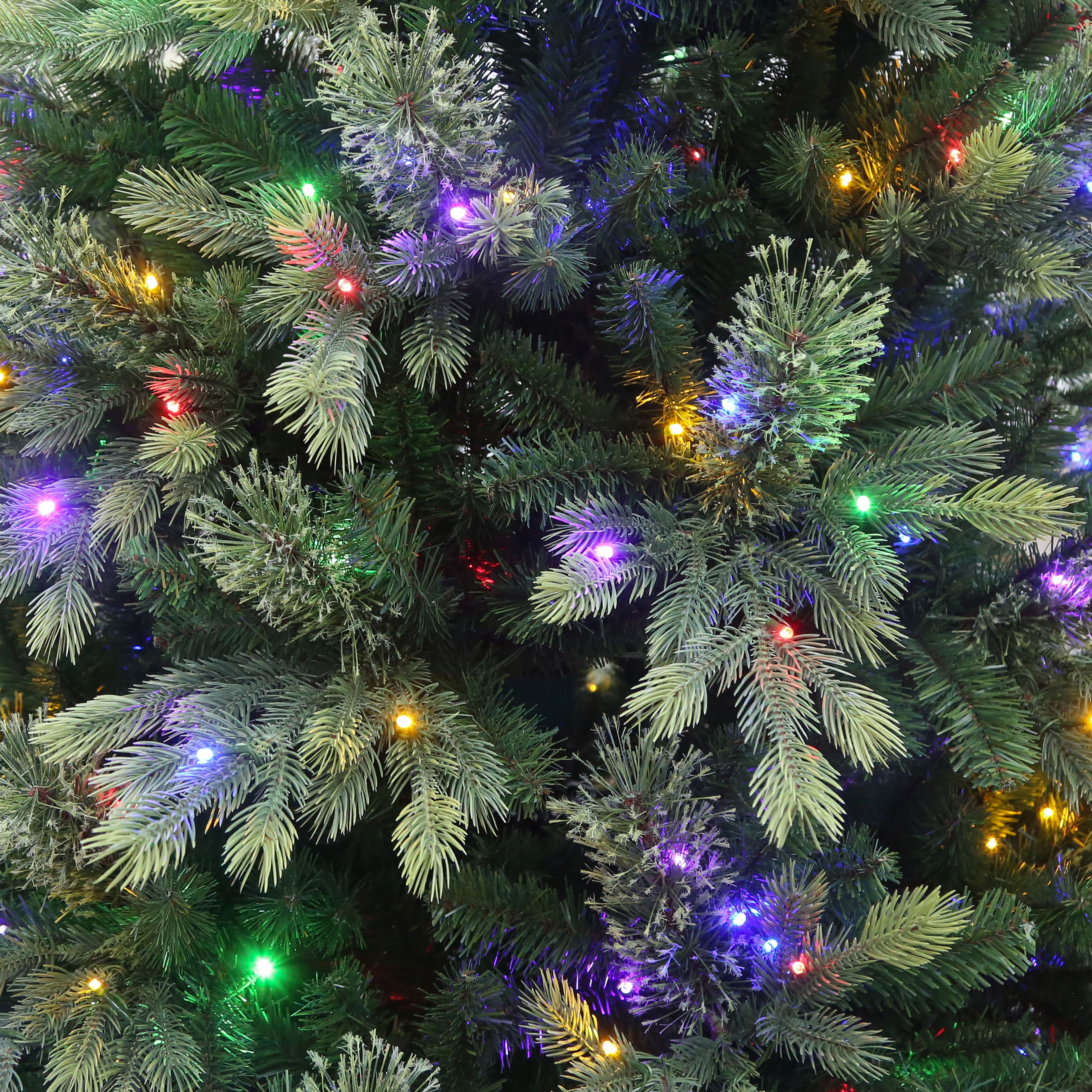 7.5ft. Pre-Lit Hunter Spruce Artificial Christmas Tree, Colour Changing LED Lights by Ashland&#xAE;