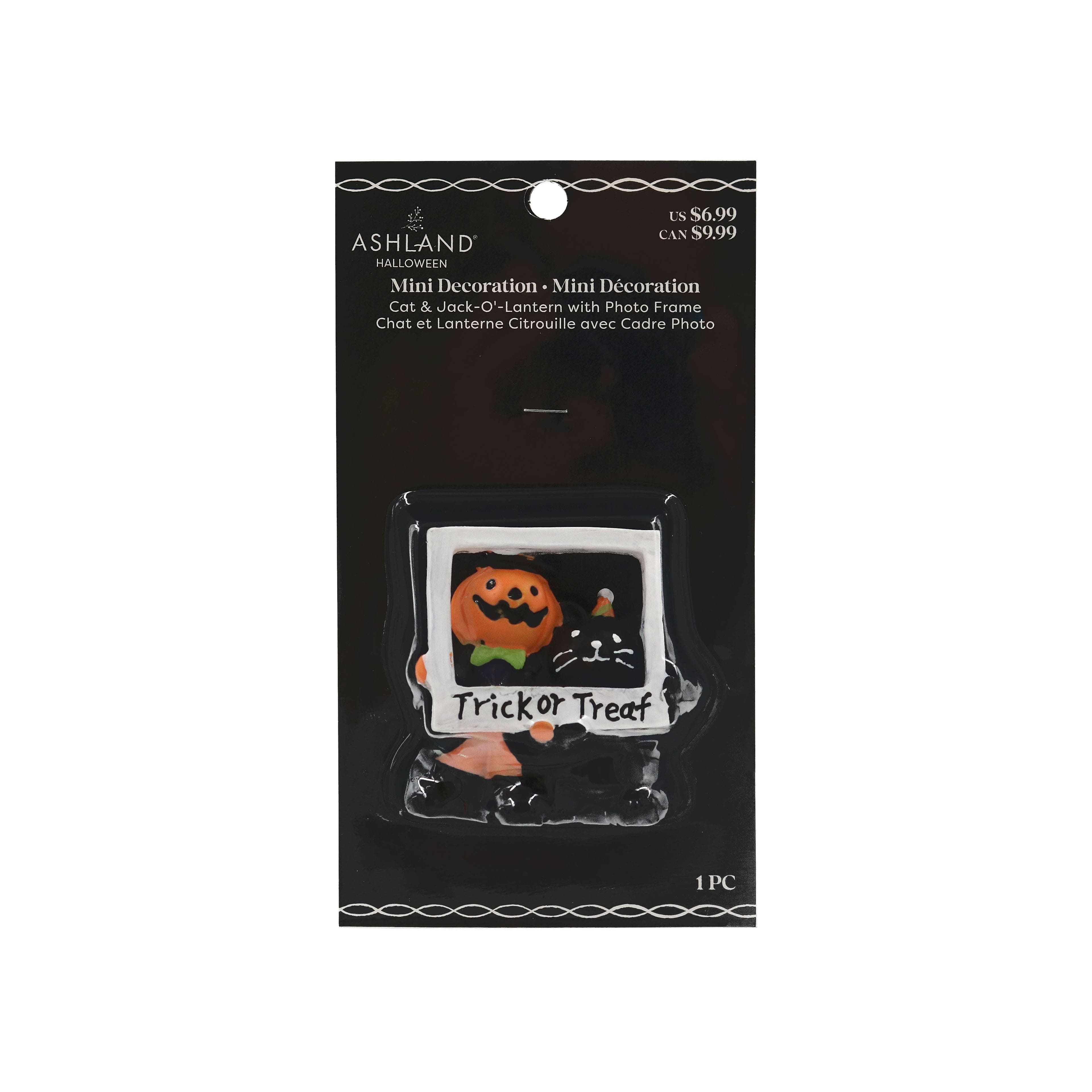 Mini Jack-O&#x27;-Lantern &#x26; Black Cat Photo Halloween D&#xE9;cor by Ashland&#xAE;