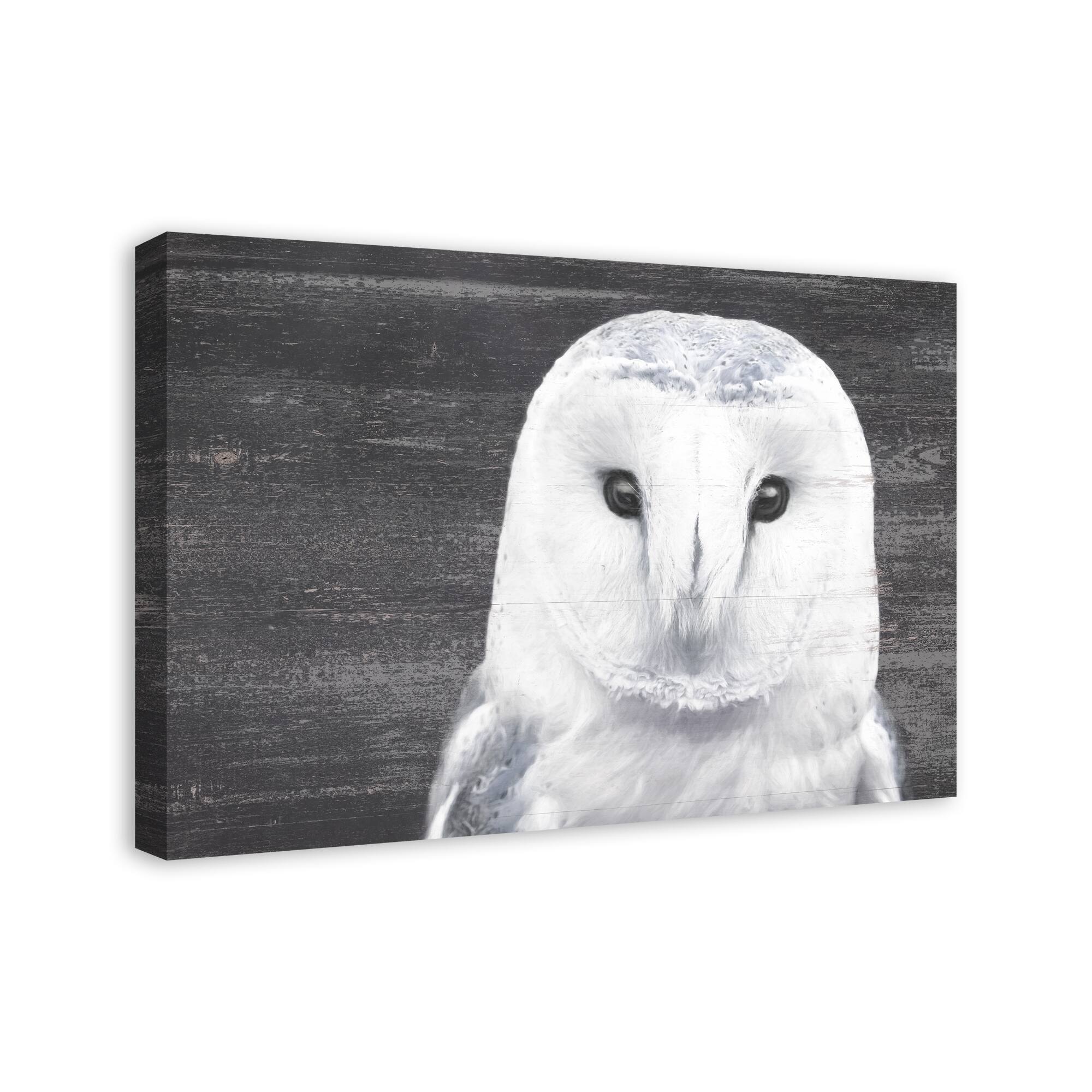 Slate Barn Owl 20" x 30" Canvas Wall Art