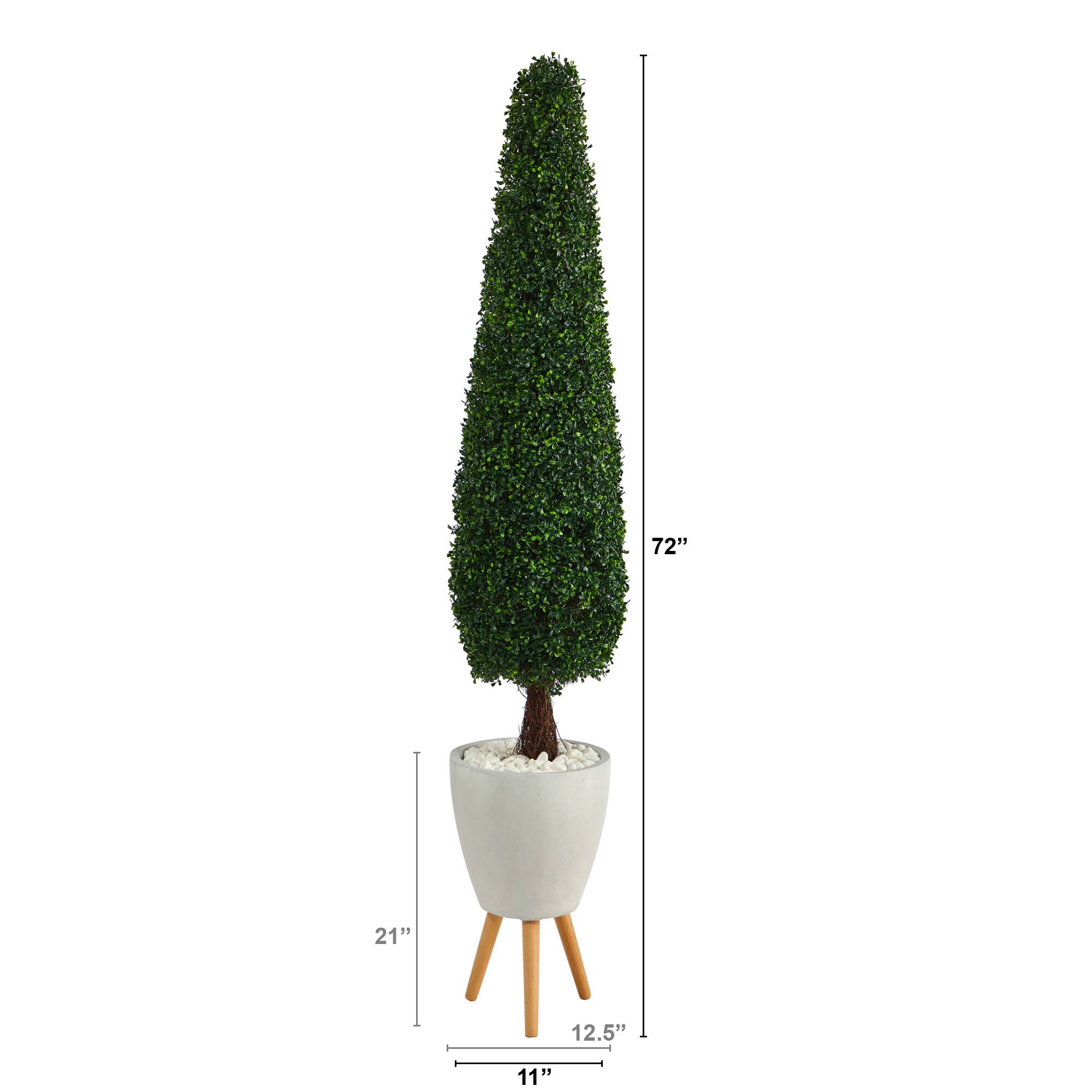 6ft. Boxwood Topiary in White Planter with Stand