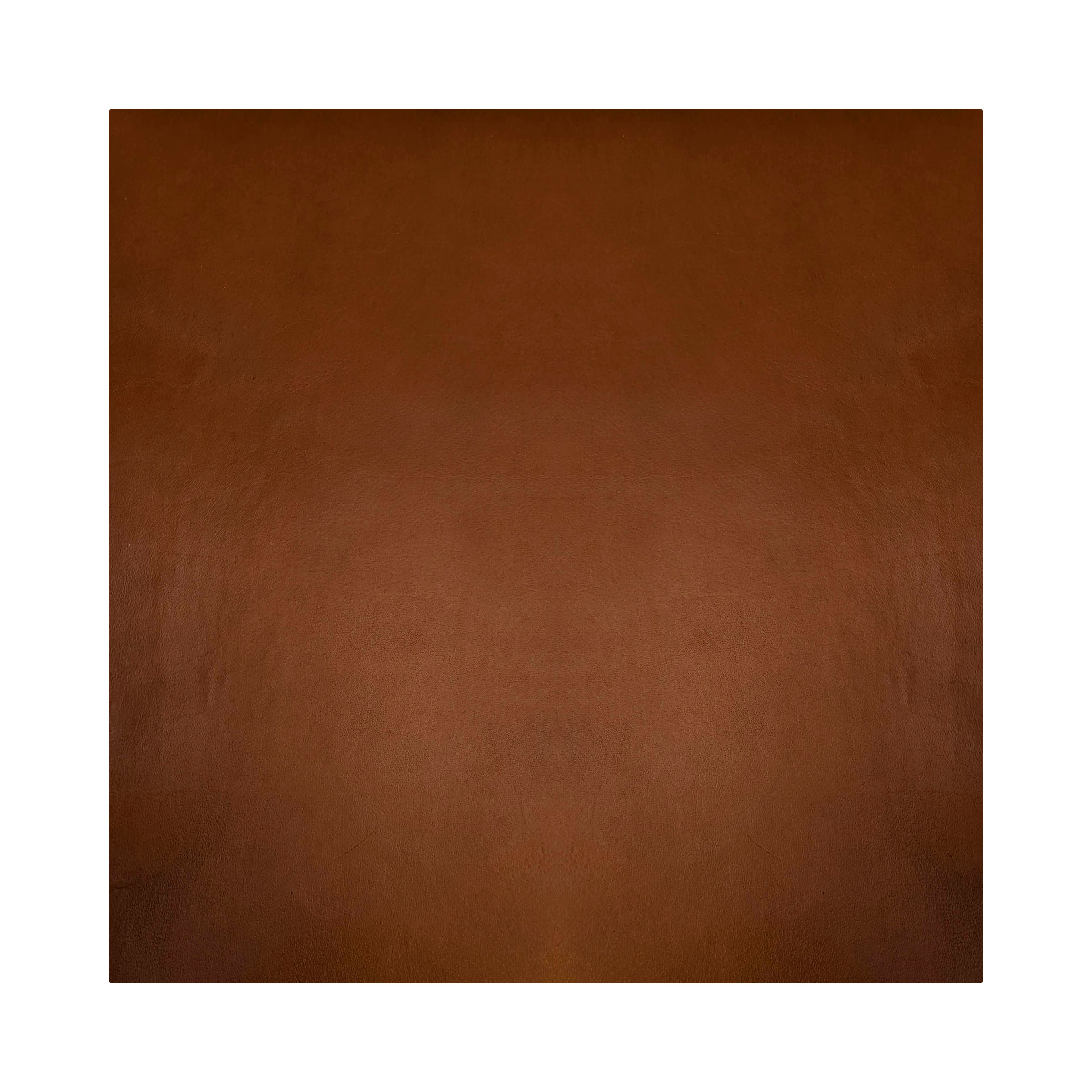Rustic Leather Sheet by Make Market&#xAE;