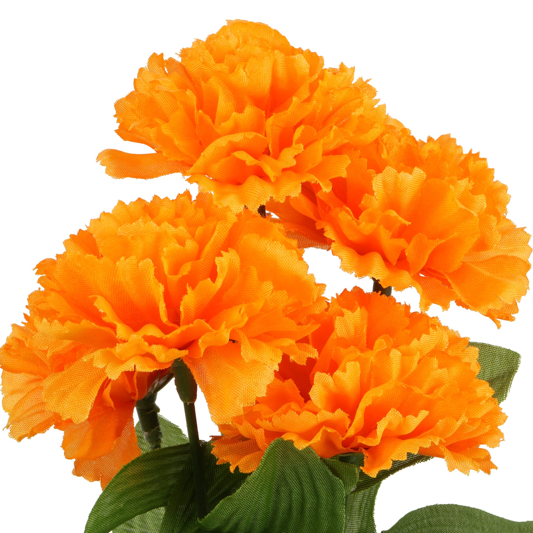 Orange Carnation Bush by Ashland&#xAE;