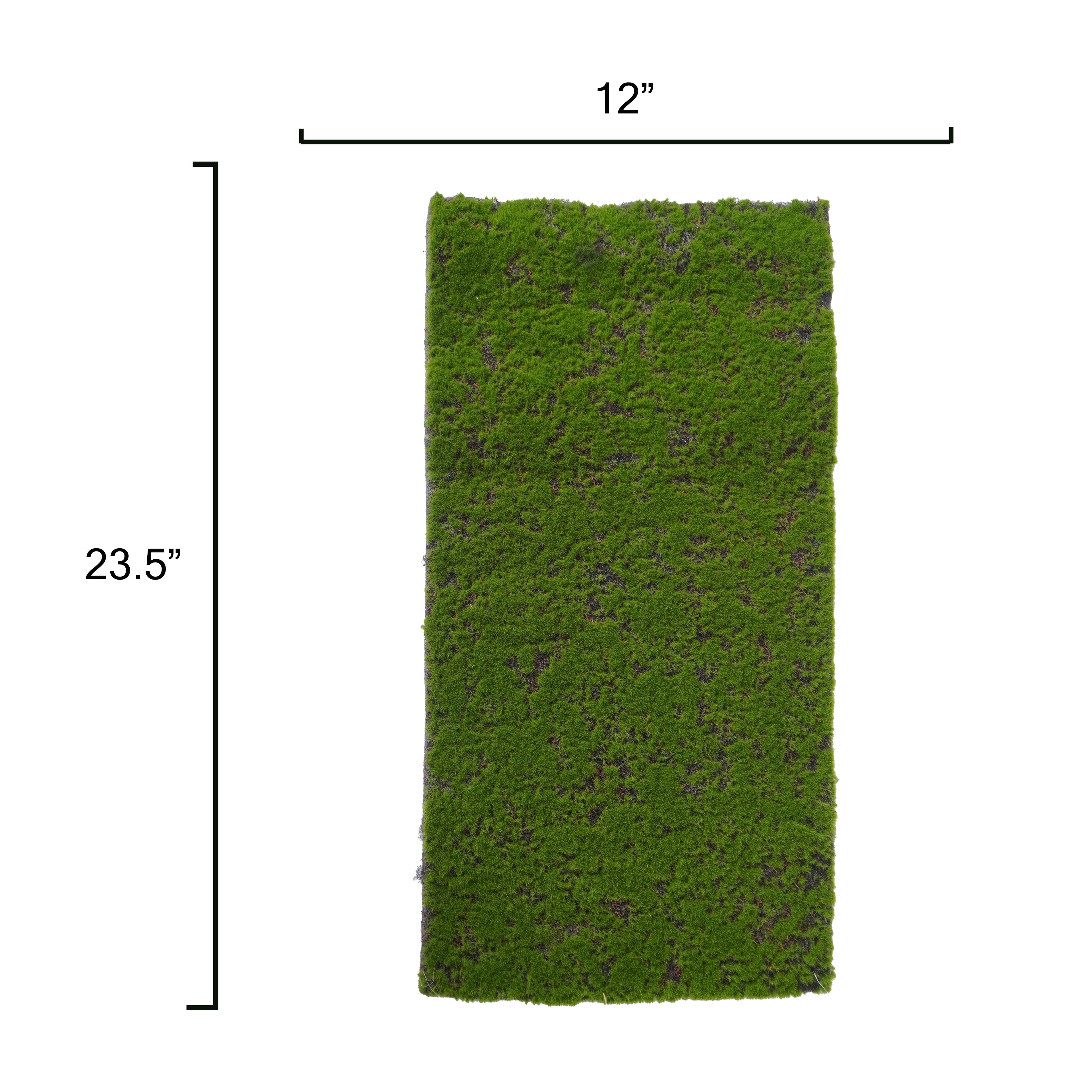 12&#x22; x 23.5&#x22; Faux Moss Mat by Ashland&#xAE;