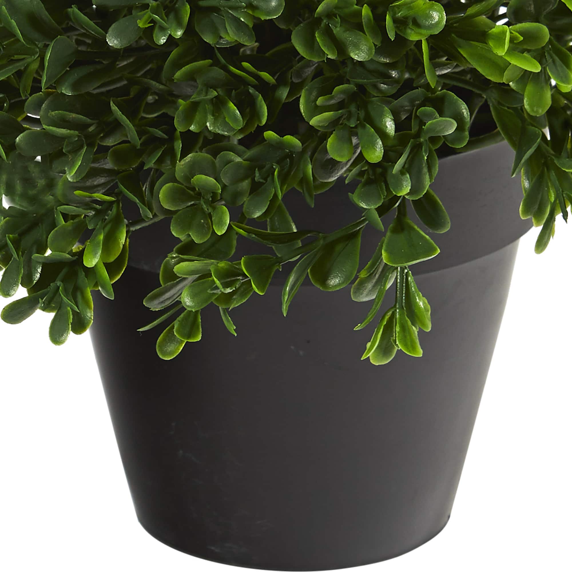 10&#x201D; Potted Boxwood Topiary Plant