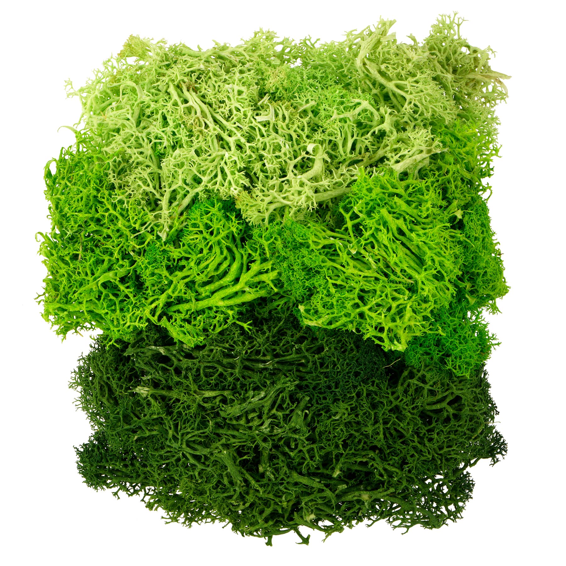 1.75oz. Green Moss Mix by Ashland® | Michaels