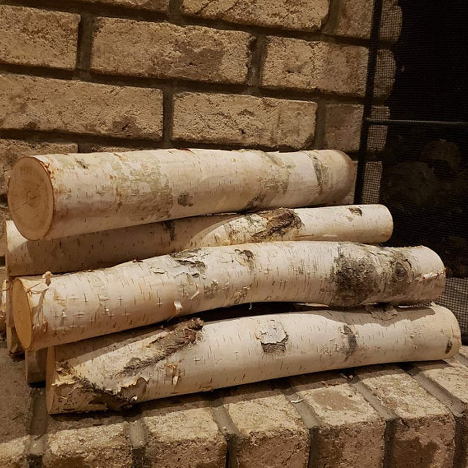 Wilson Enterprises X-Large White Birch Log Set | Michaels