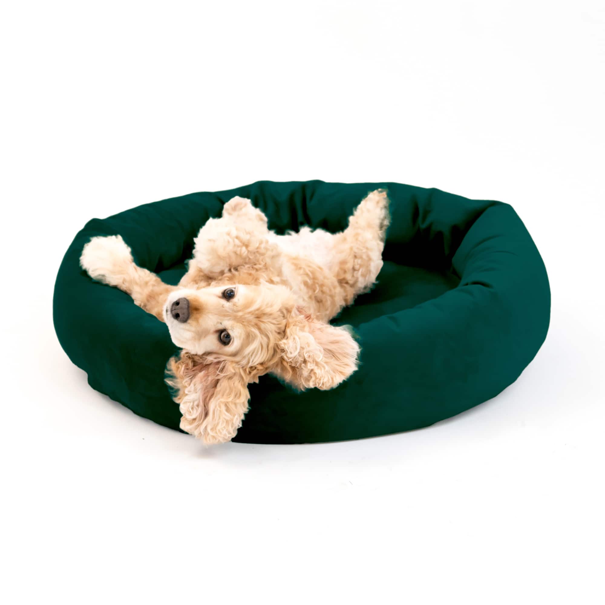 Royal Pet Bed Medium Washable Luxury Velvet Dog Bed