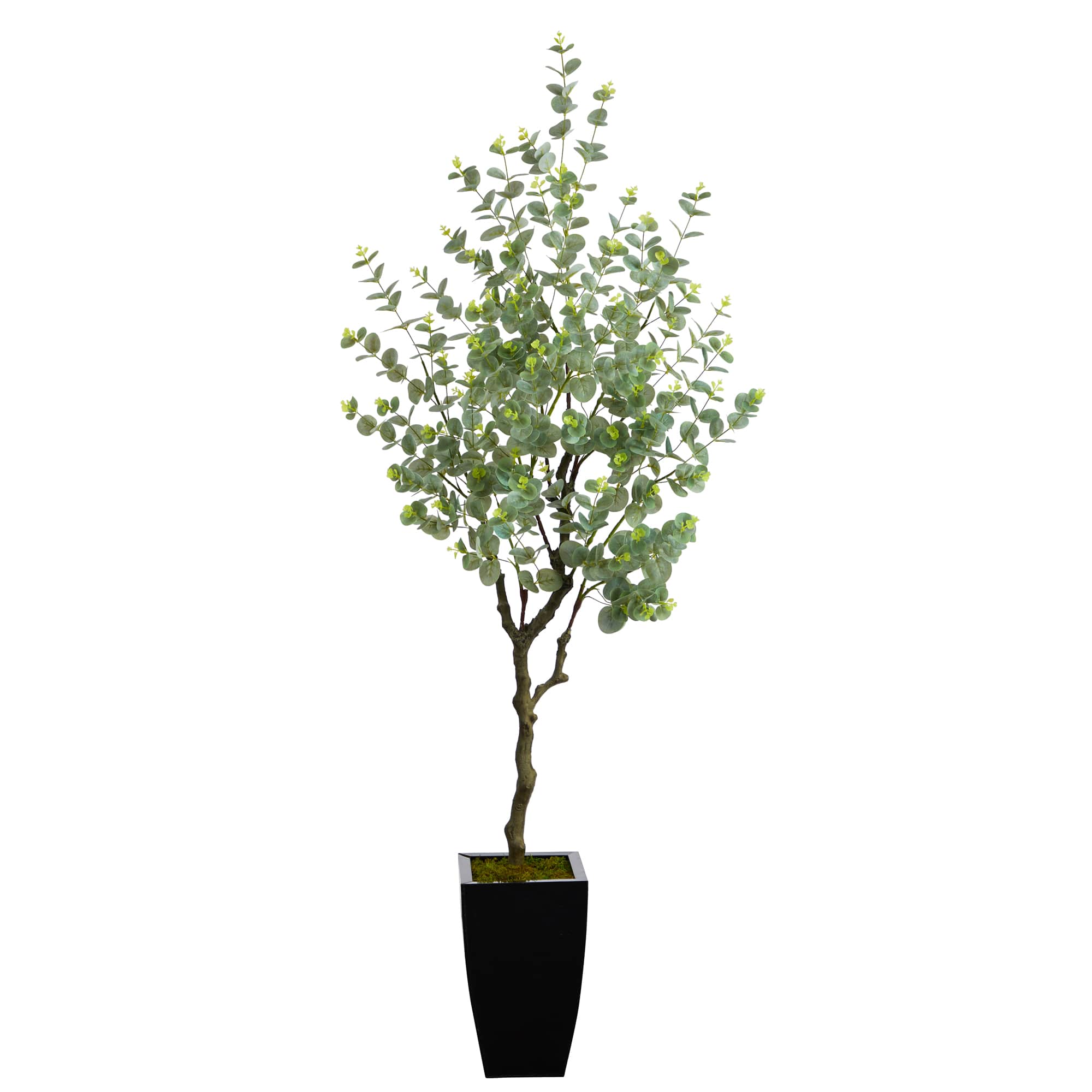 5.5ft. Eucalyptus Artificial Tree in Black Metal Planter