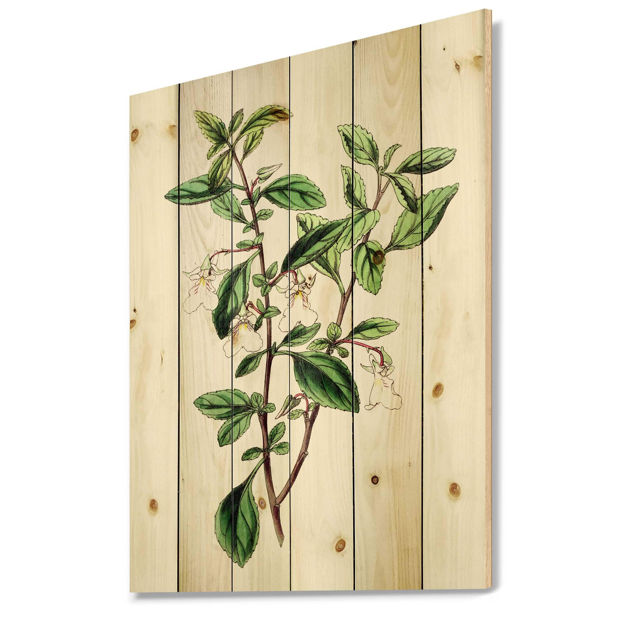 Designart - Vintage Green Leaves Plants VII - Traditional Print on Natural Pine Wood