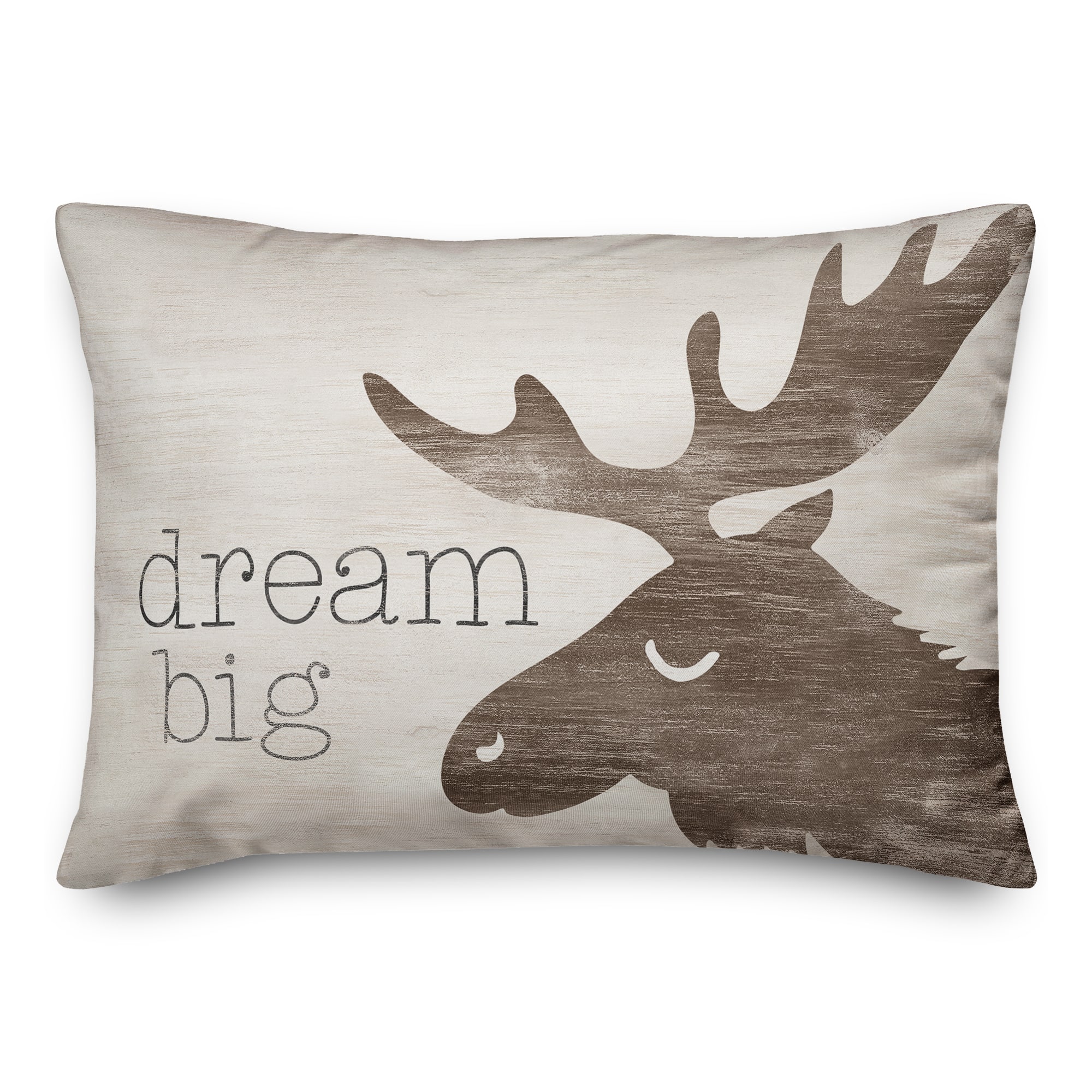 20" x 14" Dream Big Indoor & Outdoor Throw Pillow